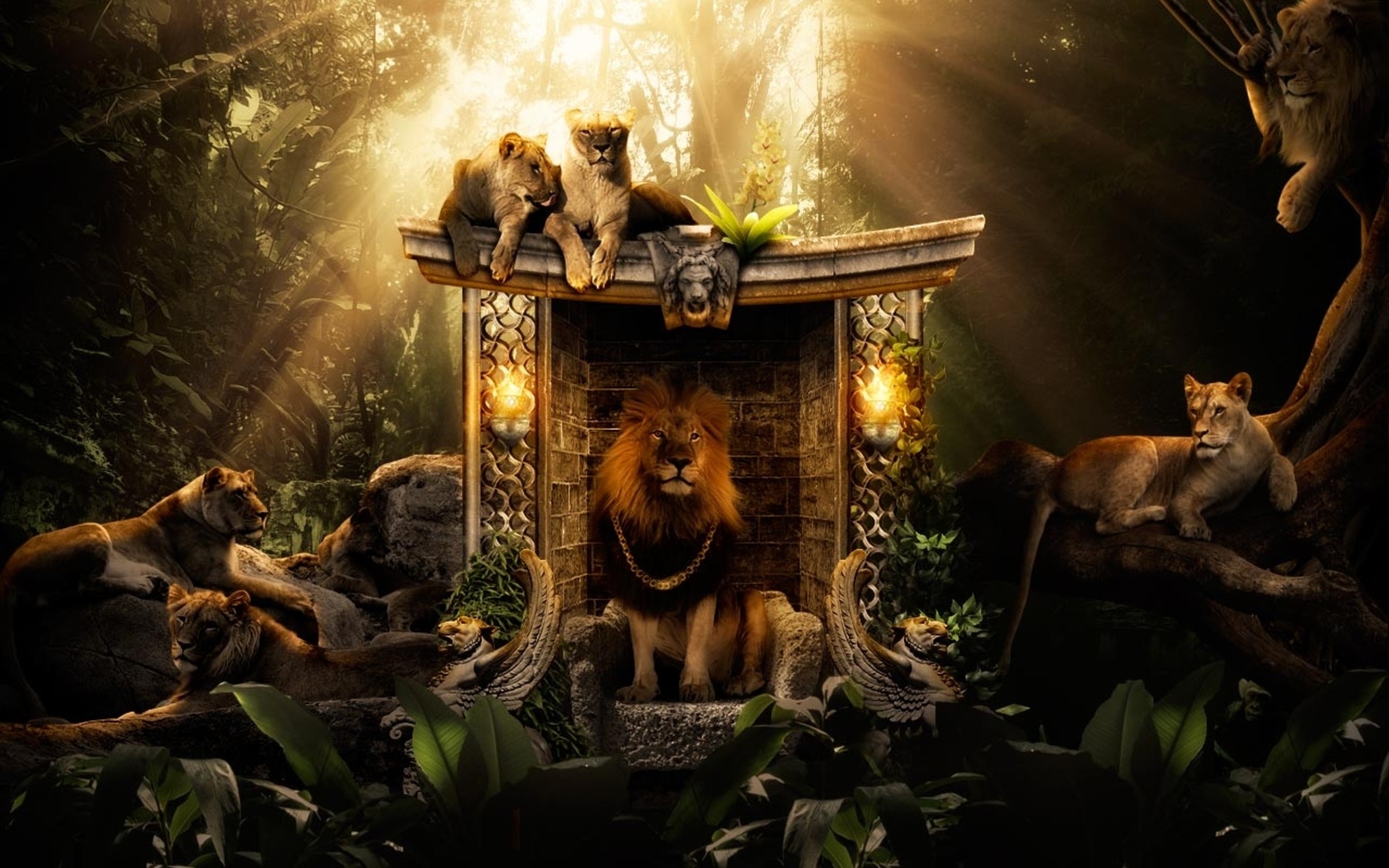 361899 завантажити картинку тварина, лев, джунглі, коти - шпалери і заставки безкоштовно