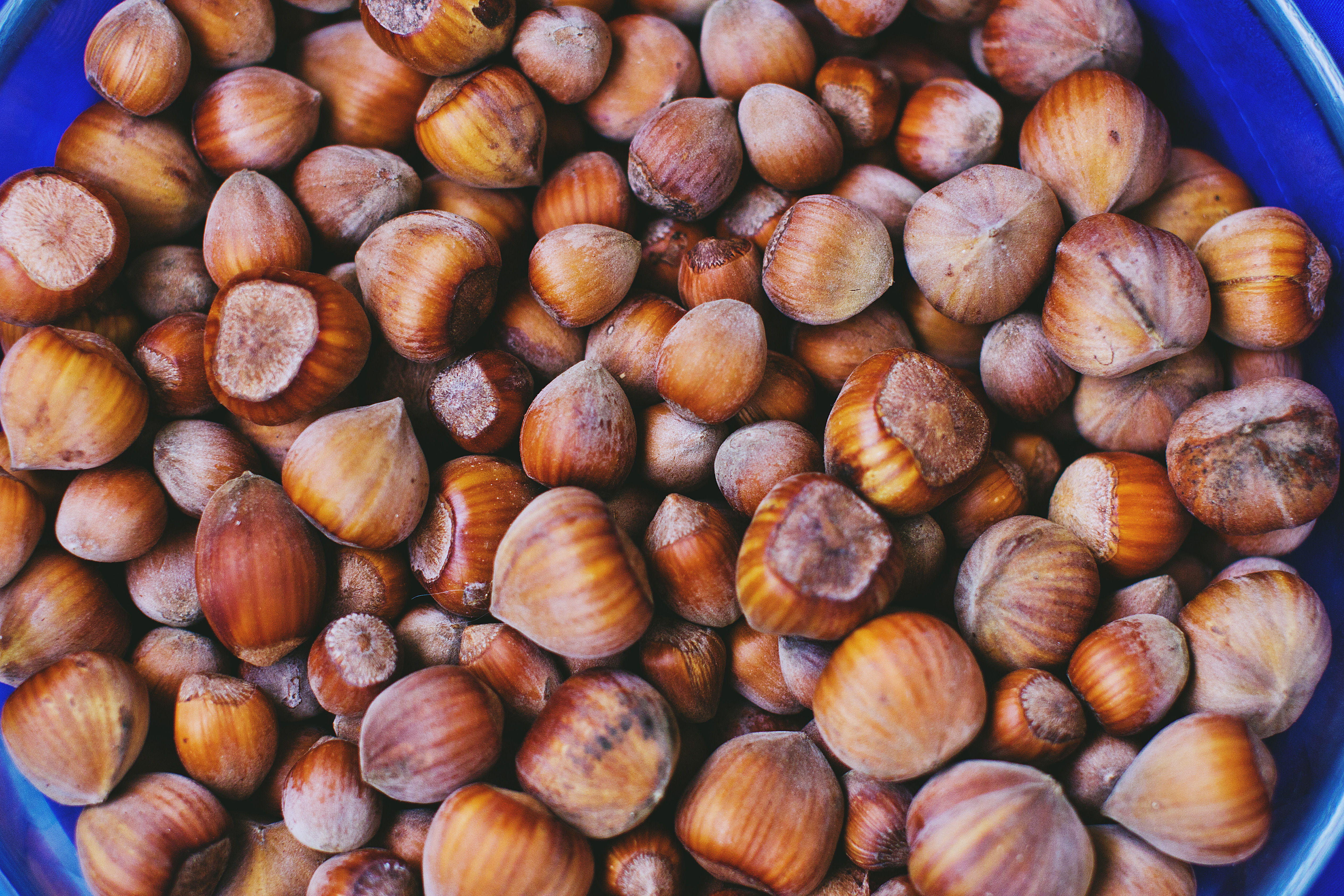 Download mobile wallpaper Hazelnut, Shell, Nuts, Food for free.