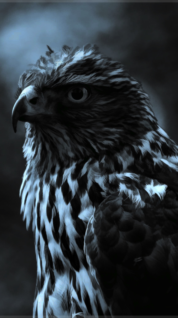 Falcon Bow, bird, birds, desert, digital, eagle, fish, monsters, parrots,  phoenix, HD wallpaper | Peakpx