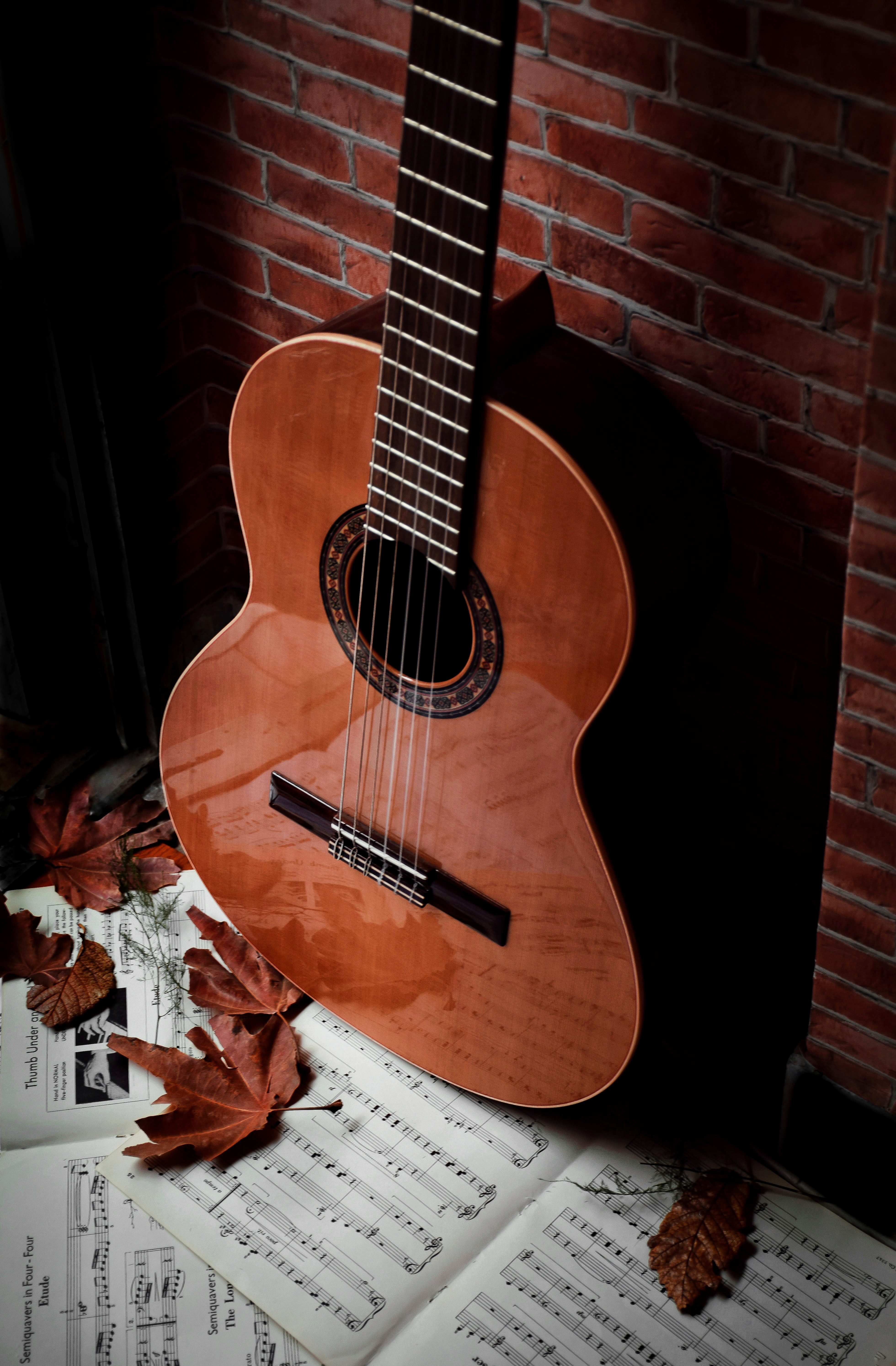 HD wallpaper guitar, musical instrument, notebook, notebooks, music, leaves, brown