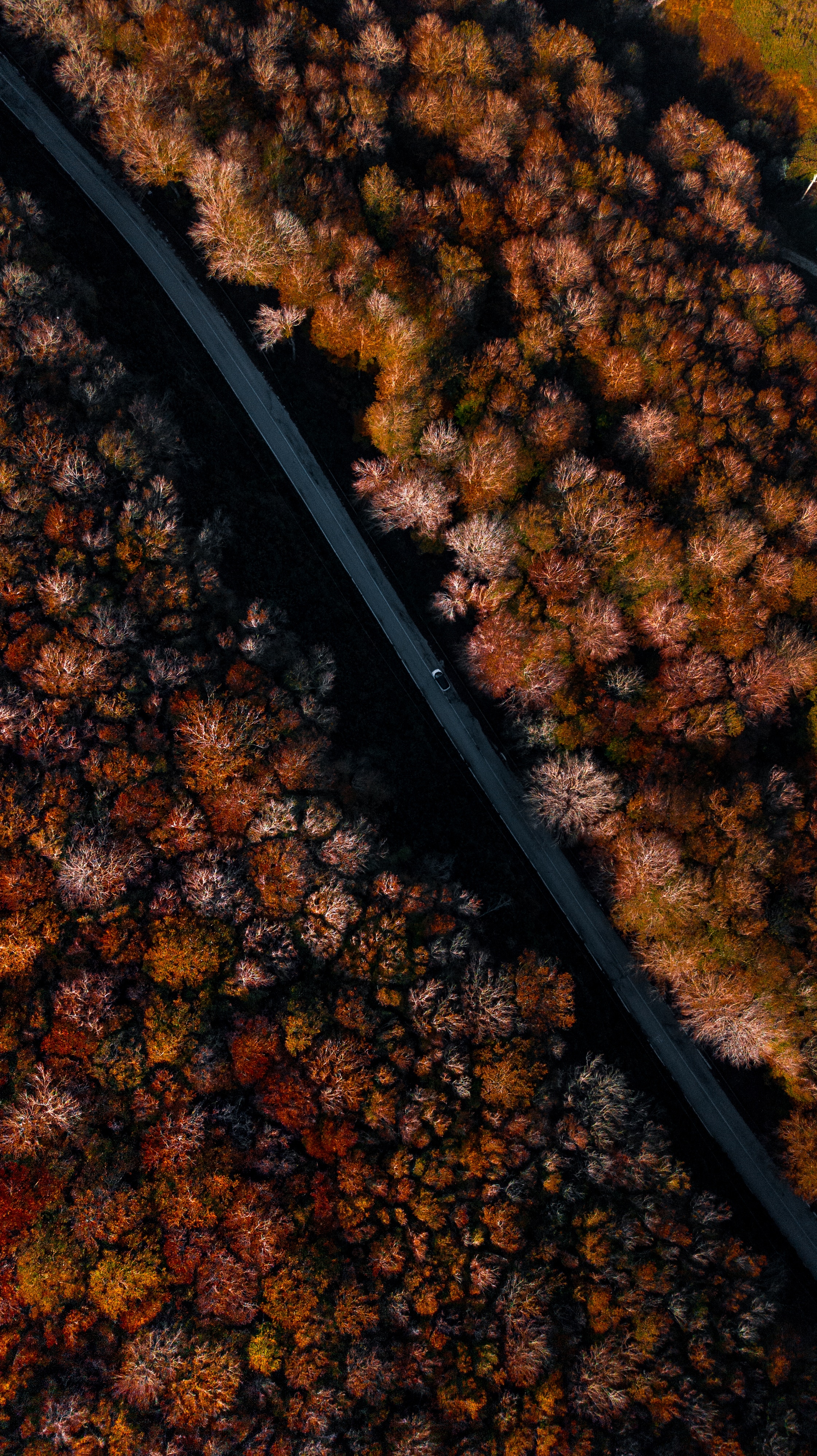 Download mobile wallpaper Forest, Nature, View From Above, Autumn, Trees, Road for free.