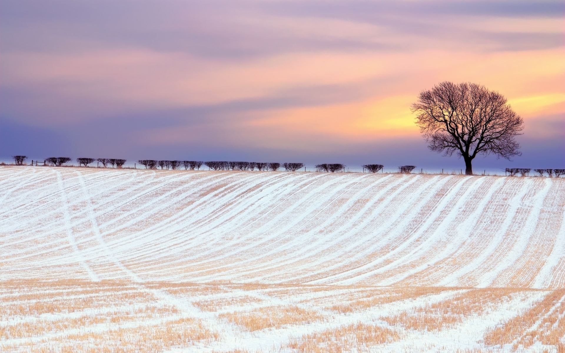 Free download wallpaper Landscape, Winter, Trees, Sunset, Fields on your PC desktop