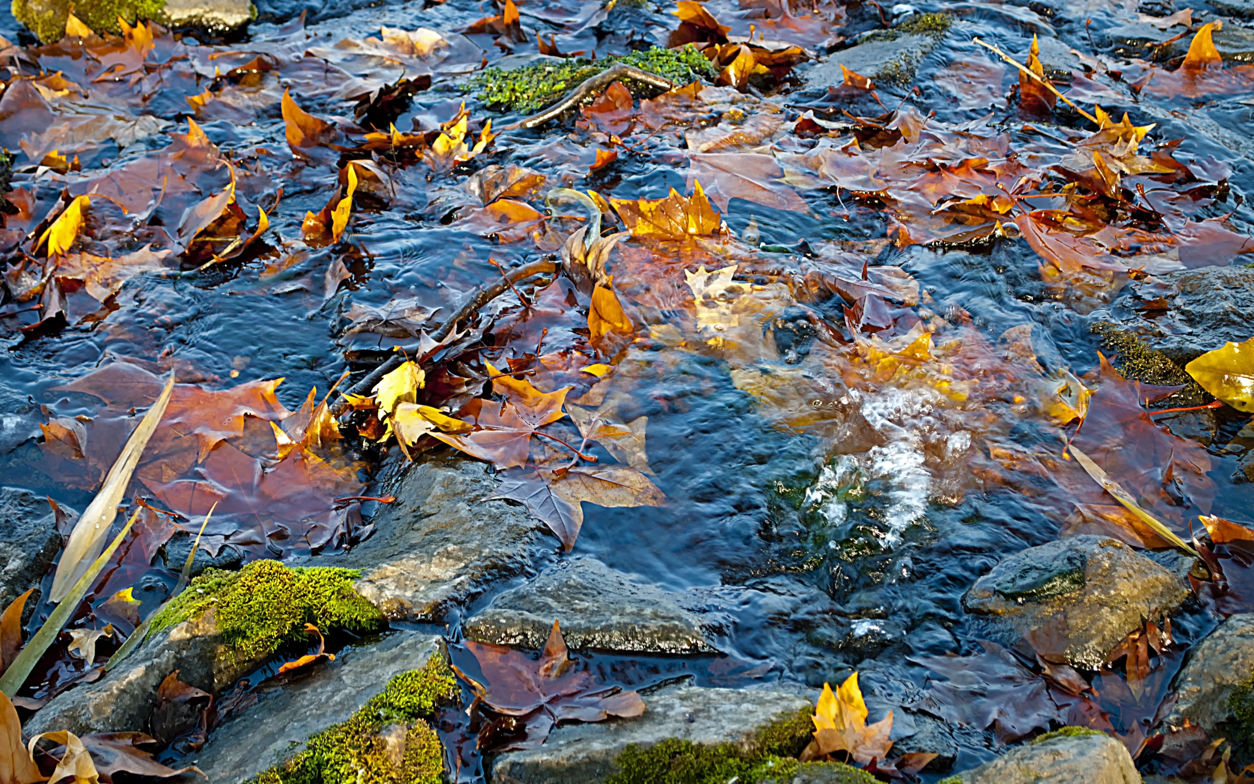 Download mobile wallpaper Water, Landscape, Autumn for free.