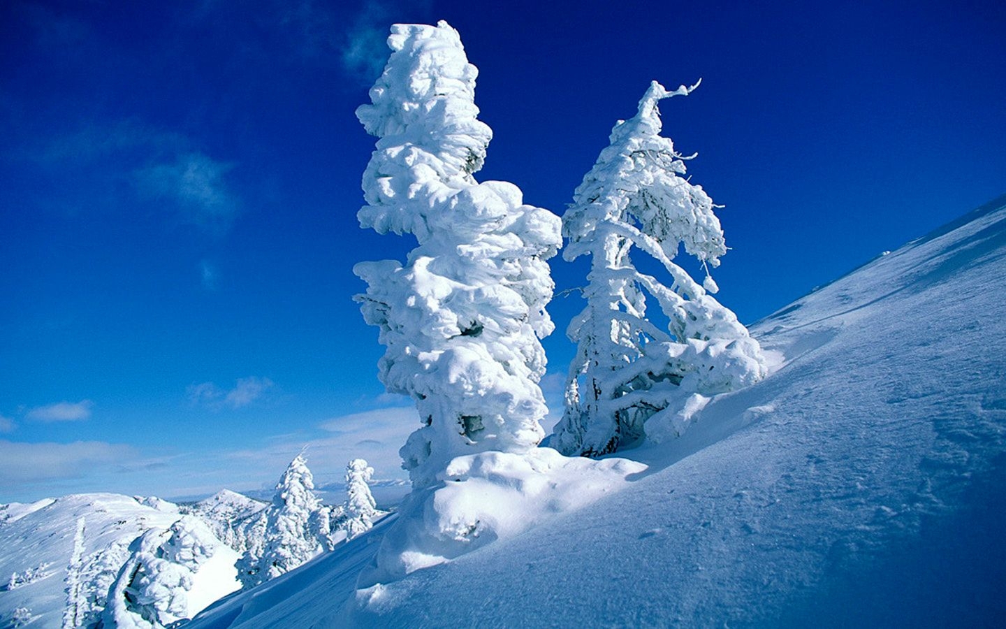 Handy-Wallpaper Landschaft, Bäume, Schnee kostenlos herunterladen.
