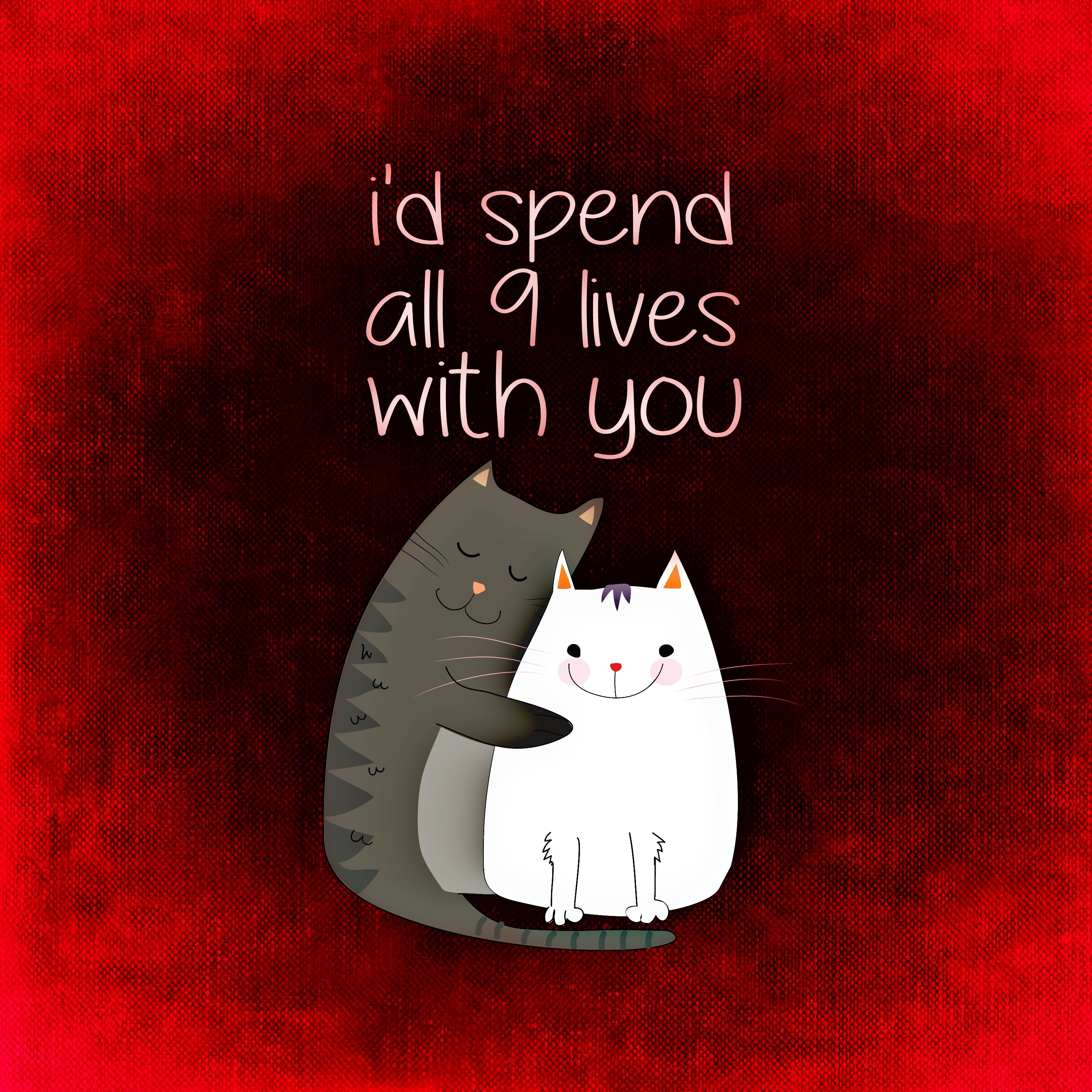 romance, love, cats, inscription, confession, postcard wallpapers for tablet