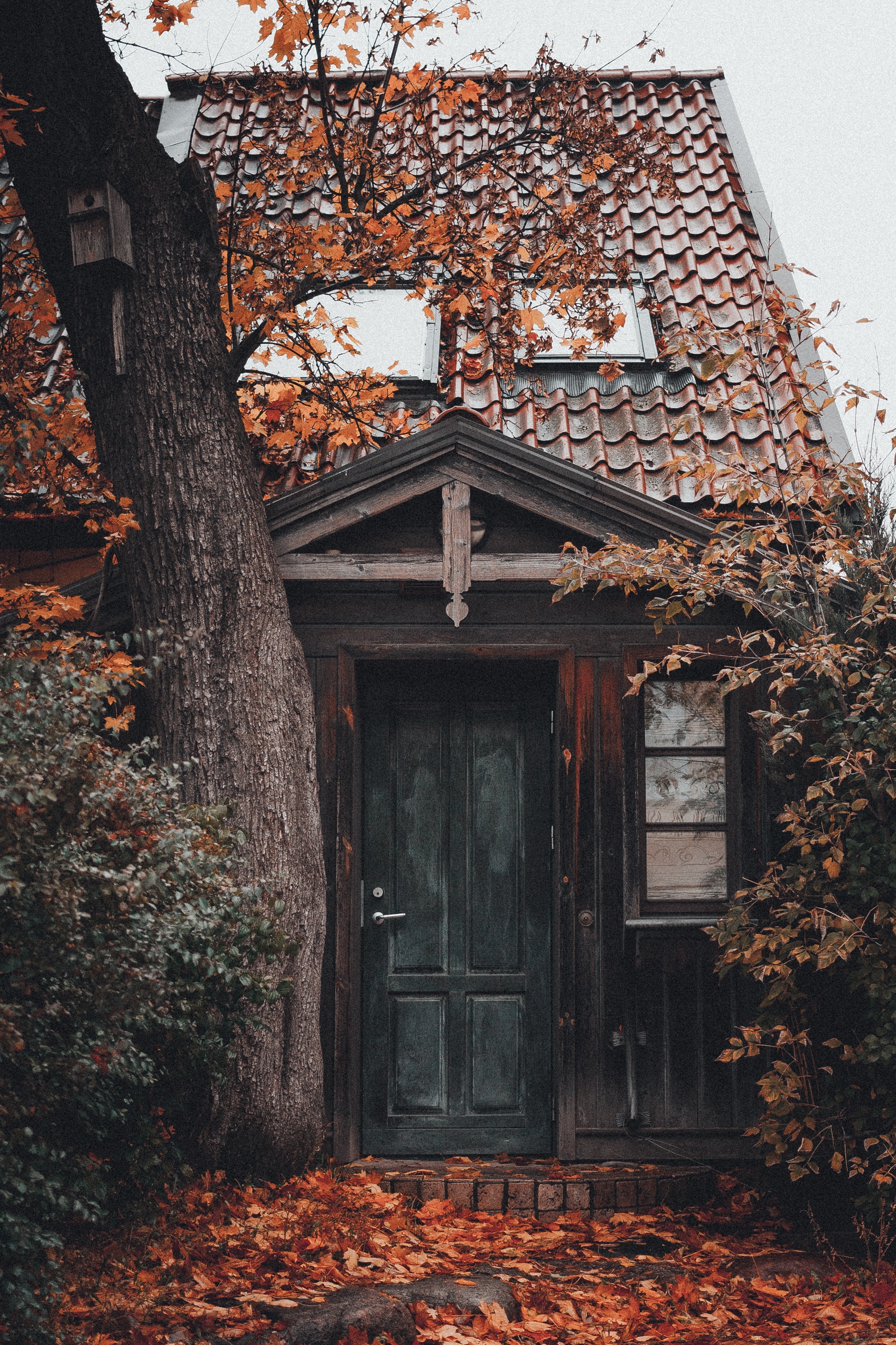 Free download wallpaper Tree, Door, Building, Wood, Foliage, Nature, House on your PC desktop