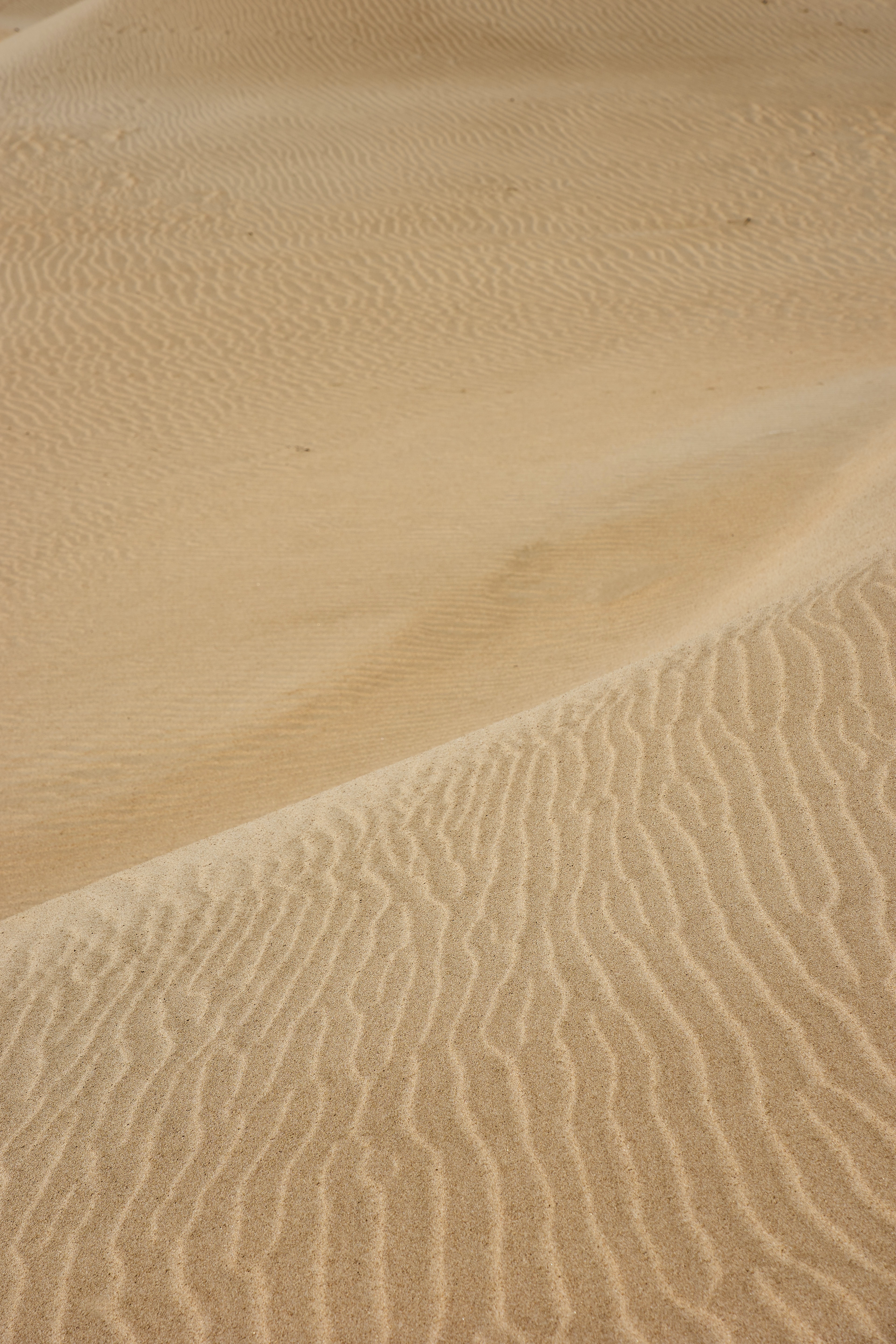 nature, waves, sand, desert, traces, dunes Phone Background