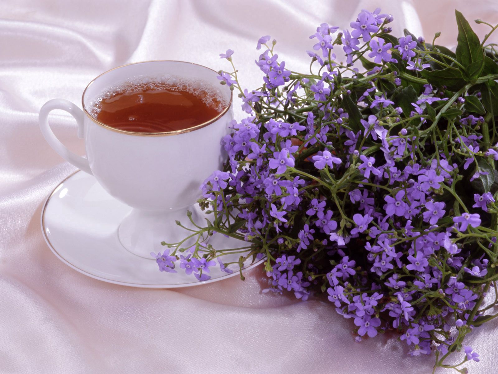 66214 скачать картинку чай, чашка, романтика, цветы, еда - обои и заставки бесплатно