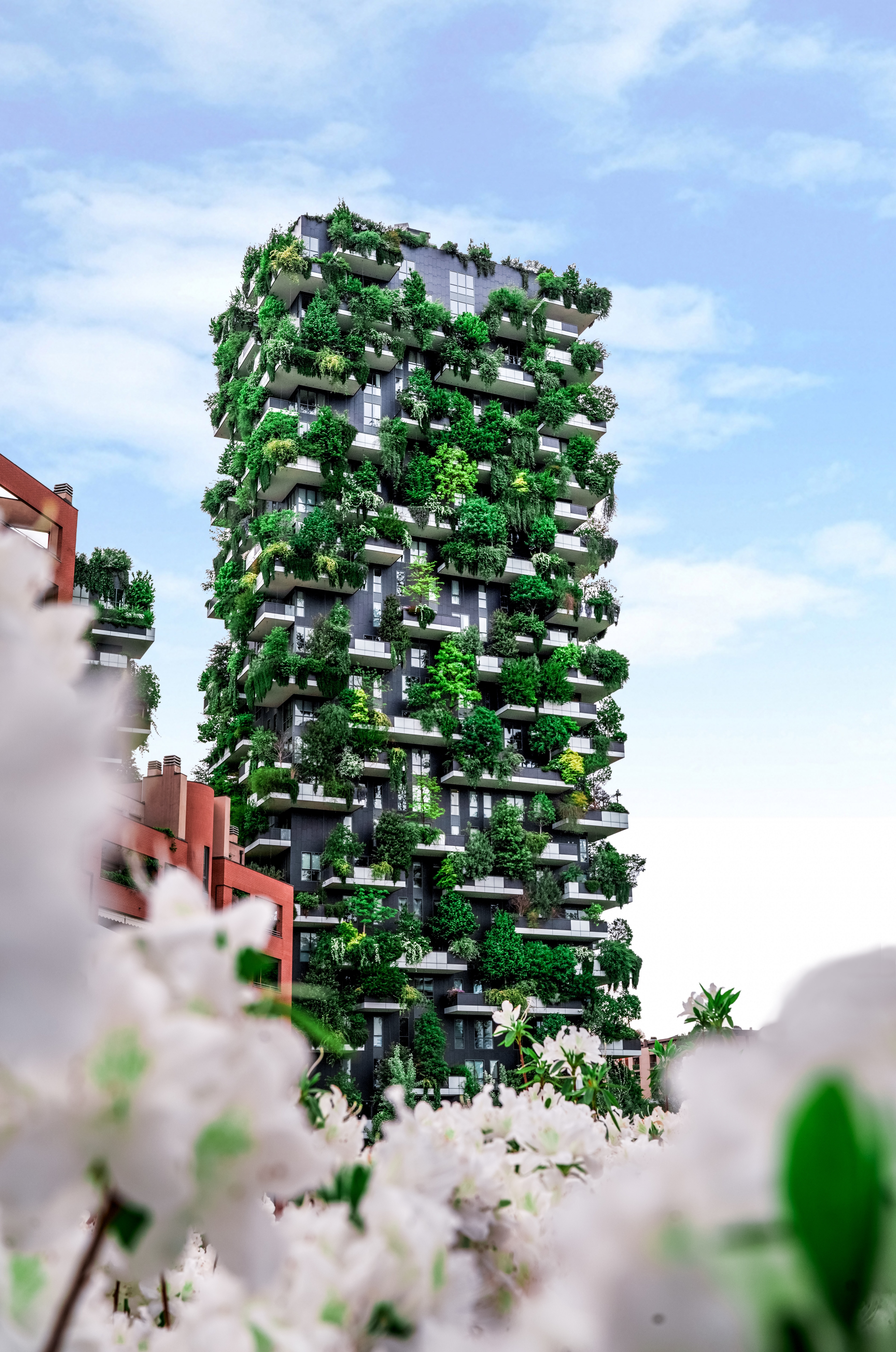 plants, cities, architecture, building, house, modern, up to date, eco 4K Ultra