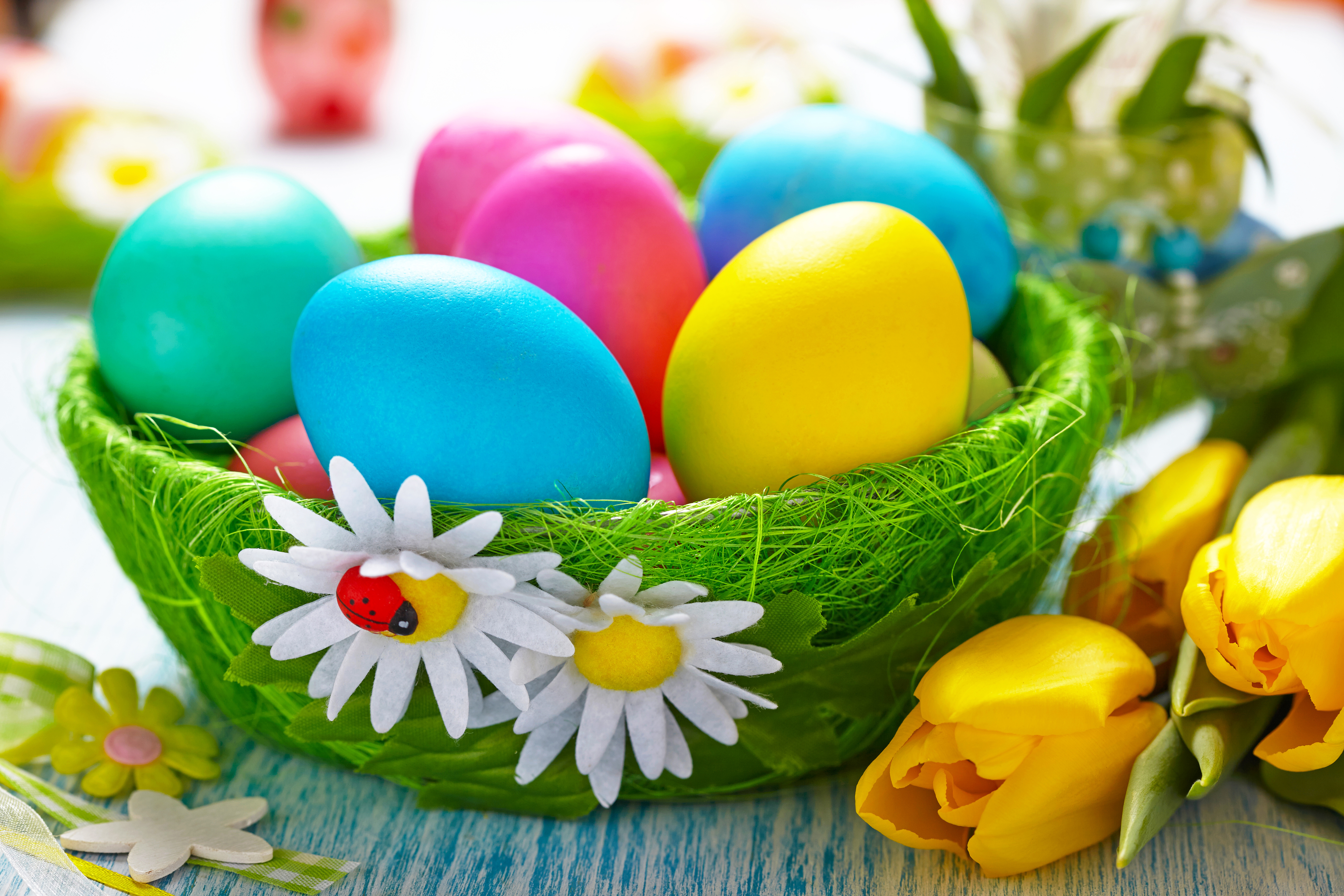 1525022 завантажити шпалери пасхальне яйце, свято, великдень, барвистий, кольори, яйце, квітка, тюльпан - заставки і картинки безкоштовно