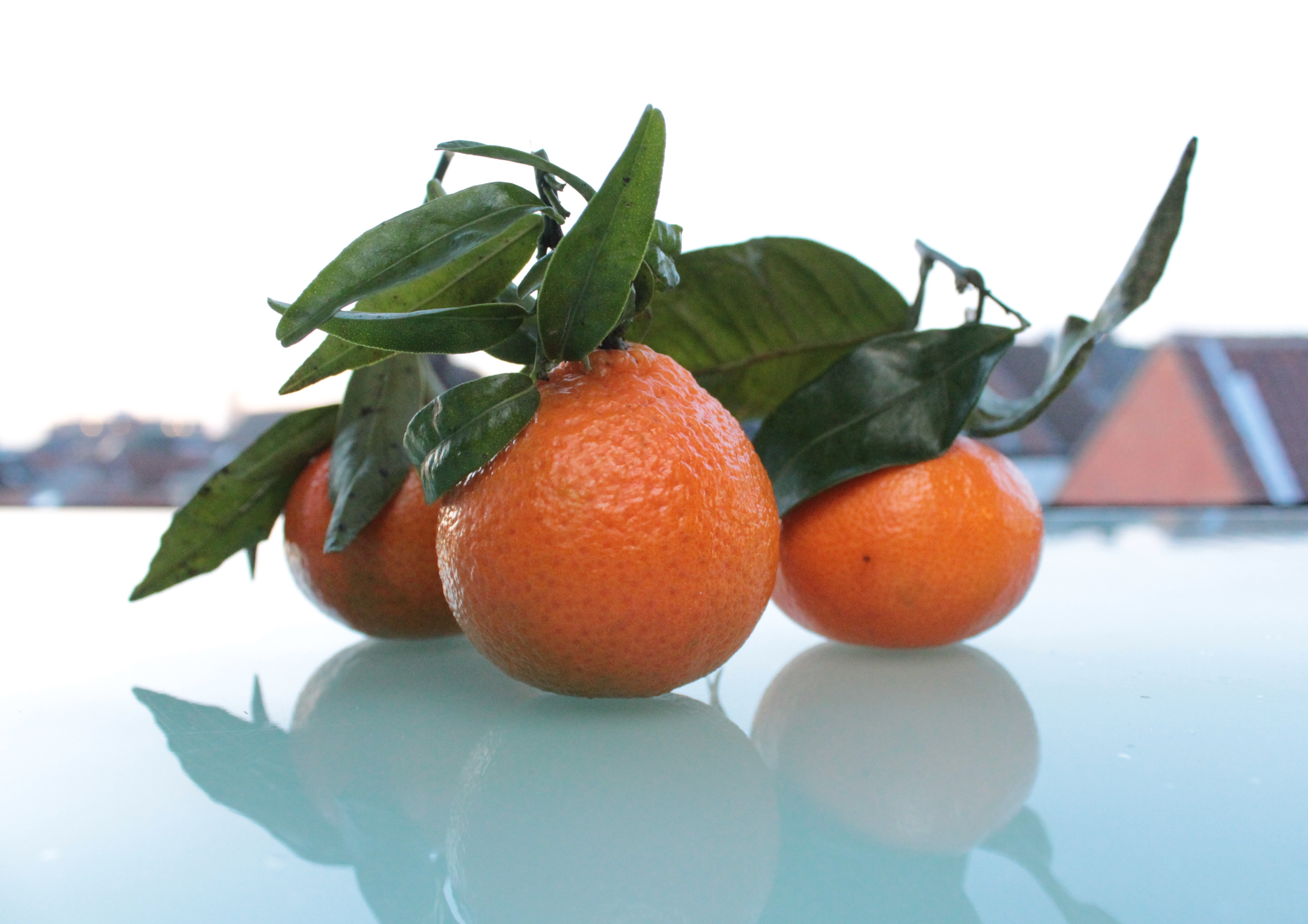 fruits, food, tangerines, citrus