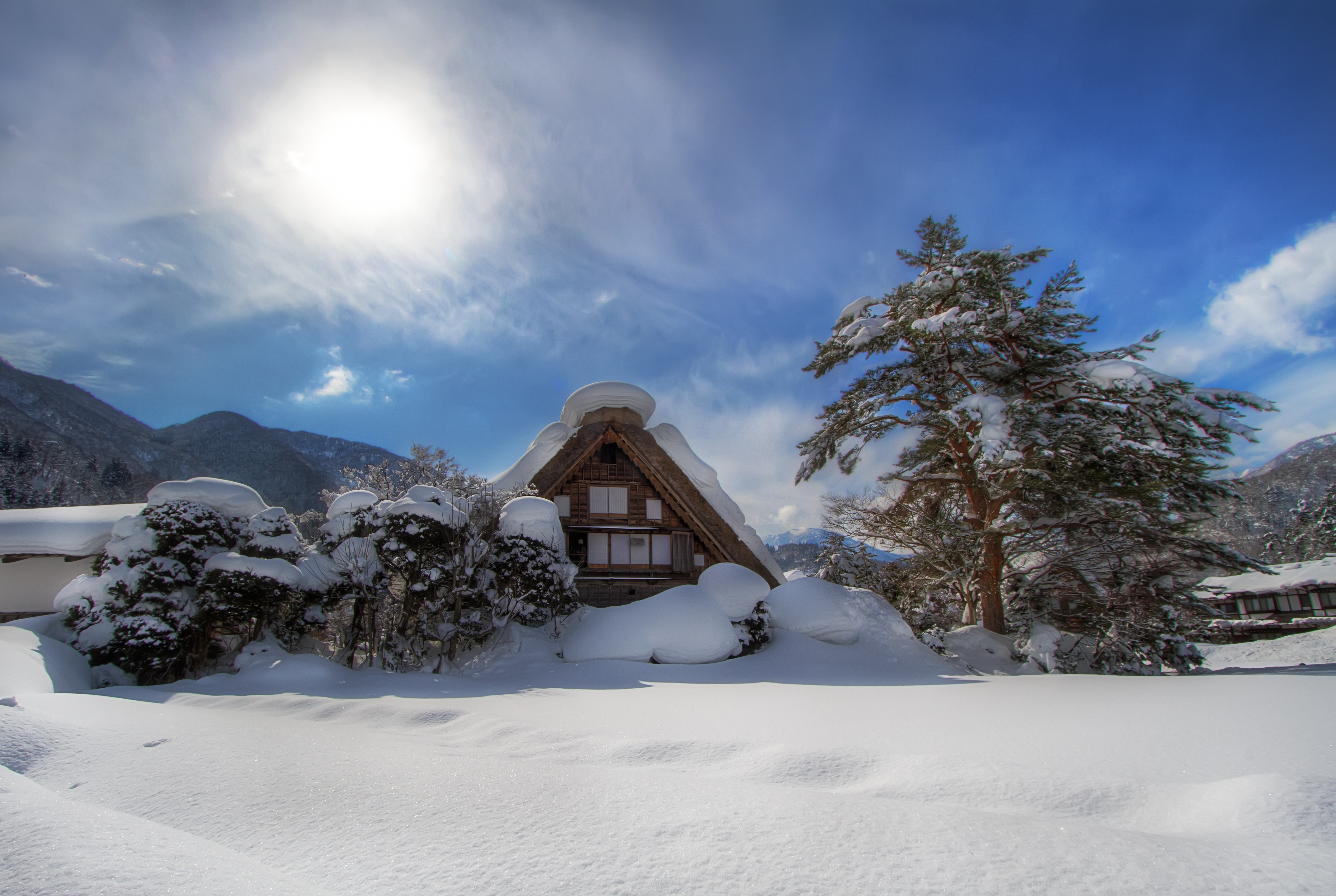 685000画像をダウンロード日本, マンメイド, 白川, 岐阜県, 雪, 木, 冬-壁紙とスクリーンセーバーを無料で