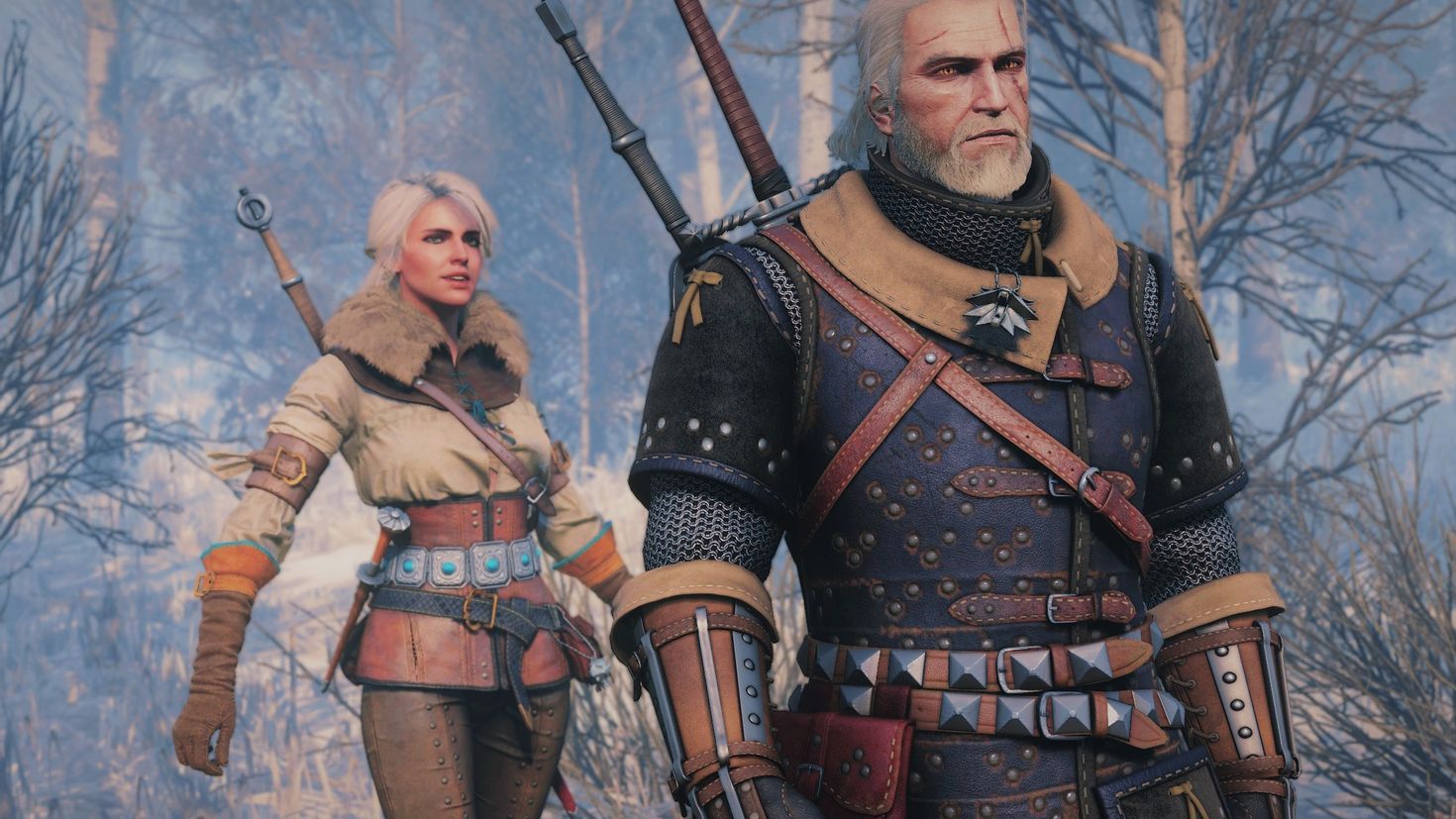 Witcher 3 стим цена фото 91