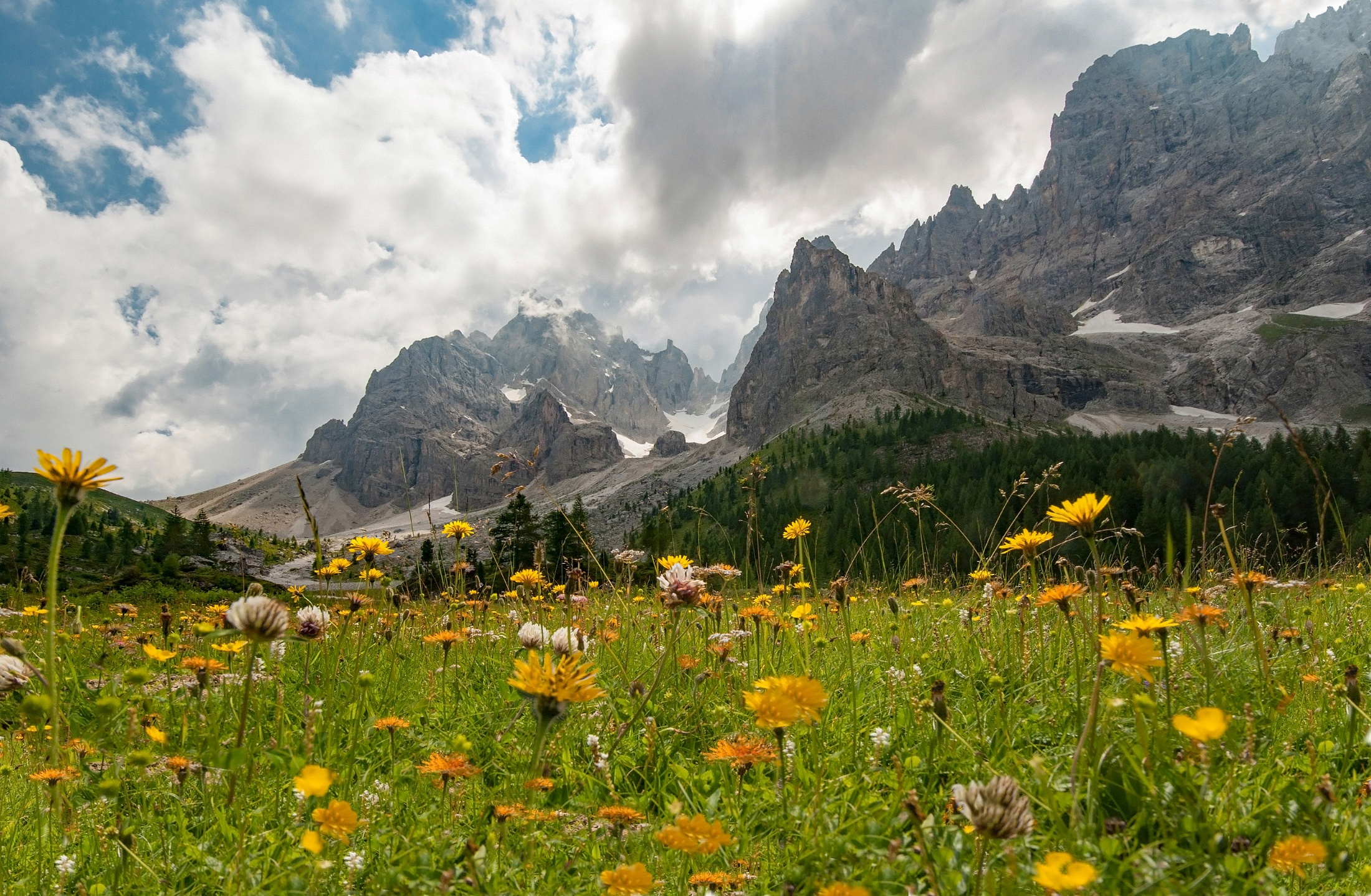 488321 завантажити картинку земля, гора, альпи, доломіти, квітка, луг, літо, гори - шпалери і заставки безкоштовно