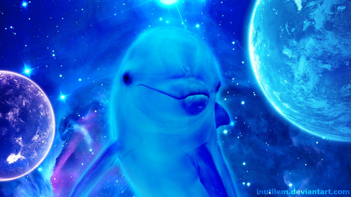 Дельфины в космосе