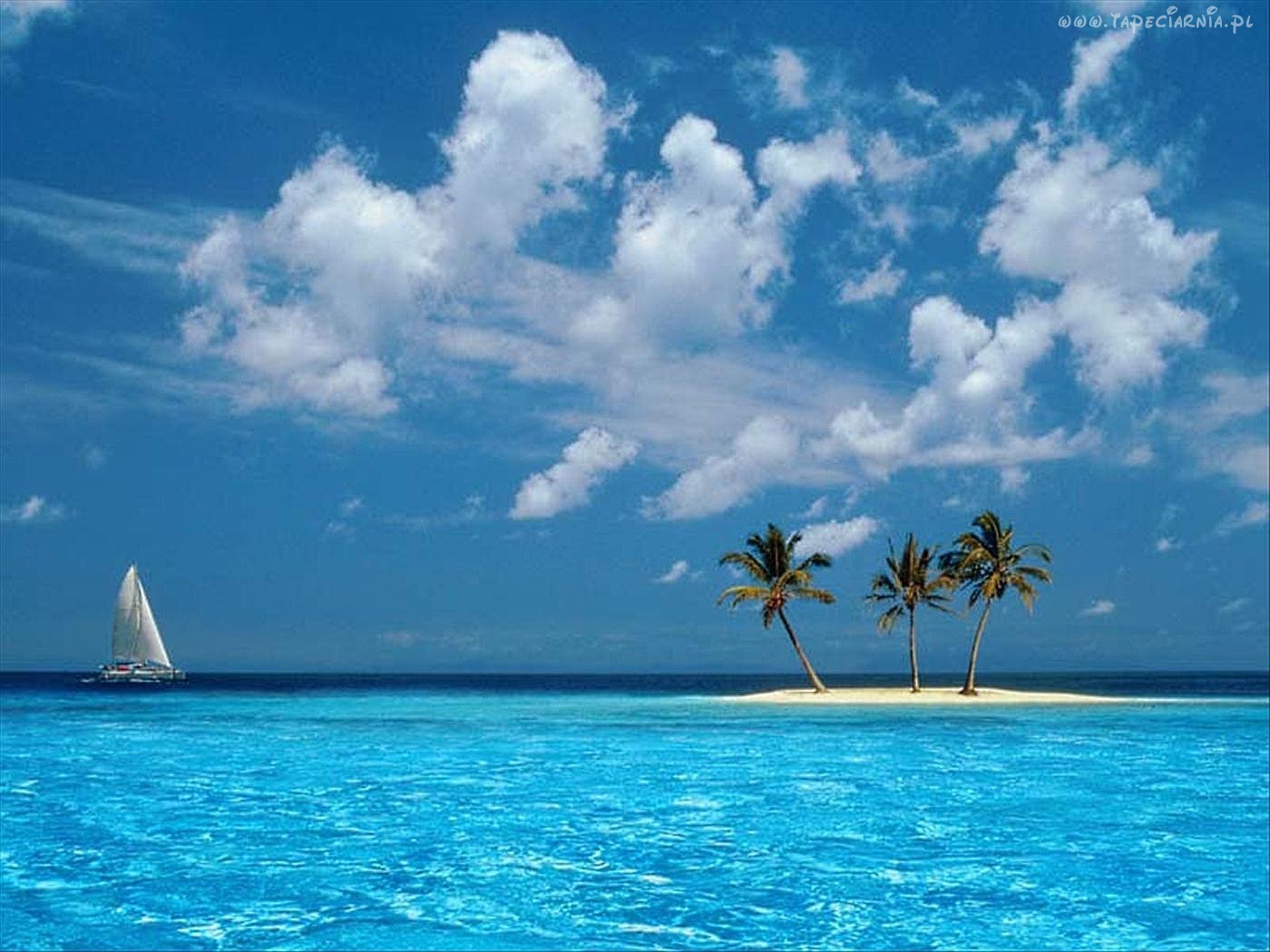 22239 Hintergrundbild herunterladen landschaft, sea, clouds, strand, palms, blau - Bildschirmschoner und Bilder kostenlos
