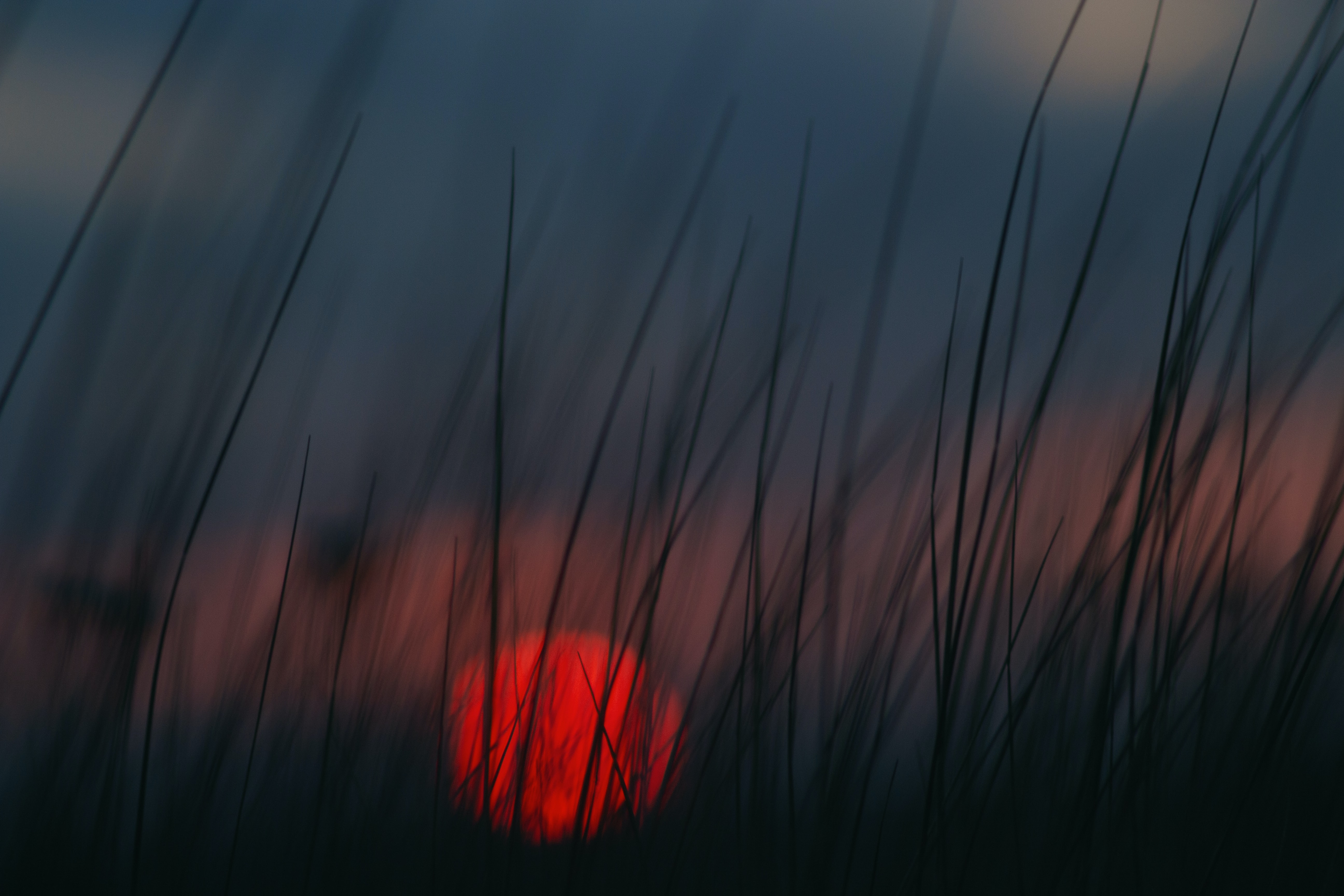 sunset, smooth, blur, twilight, sun, dark, grass, dusk High Definition image