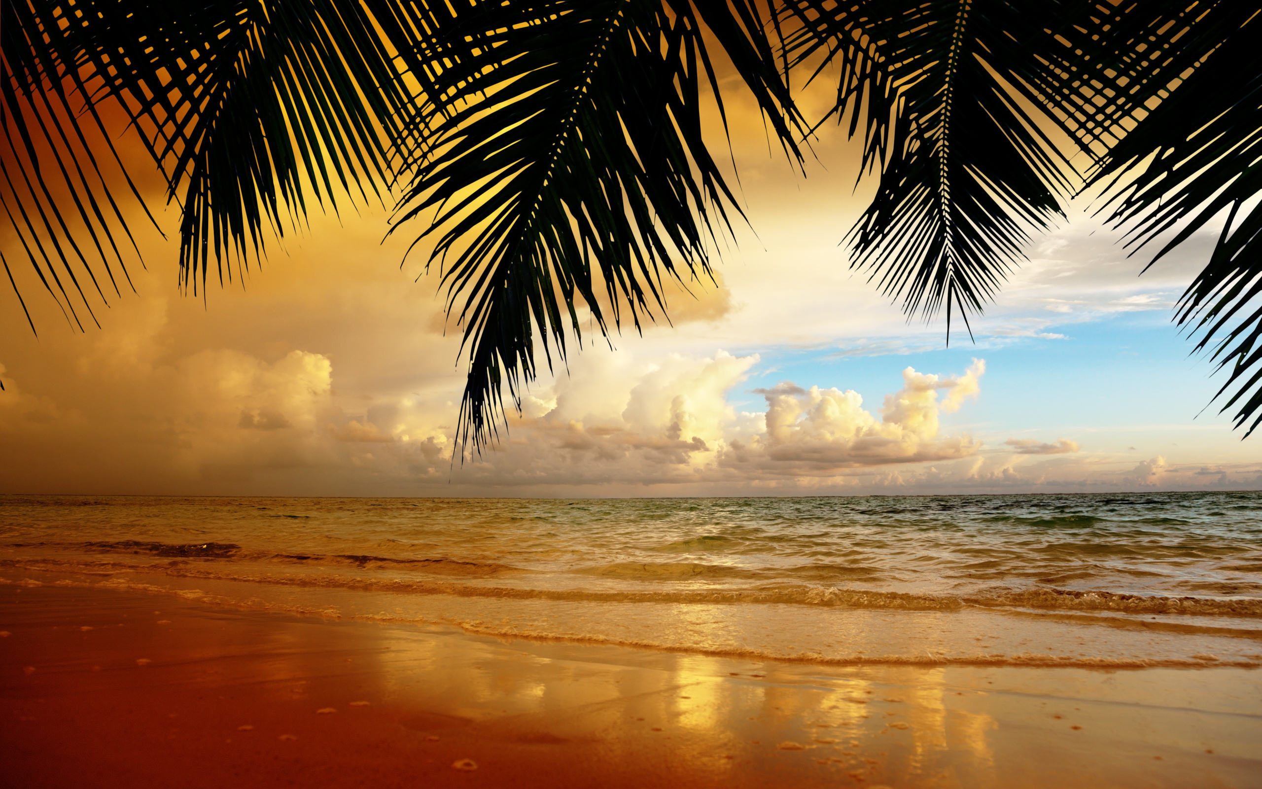 無料モバイル壁紙パームス, 日没, 海, 風景, ビーチをダウンロードします。