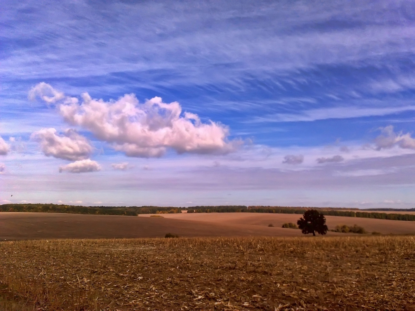 Handy-Wallpaper Landschaft, Clouds, Sky, Felder kostenlos herunterladen.