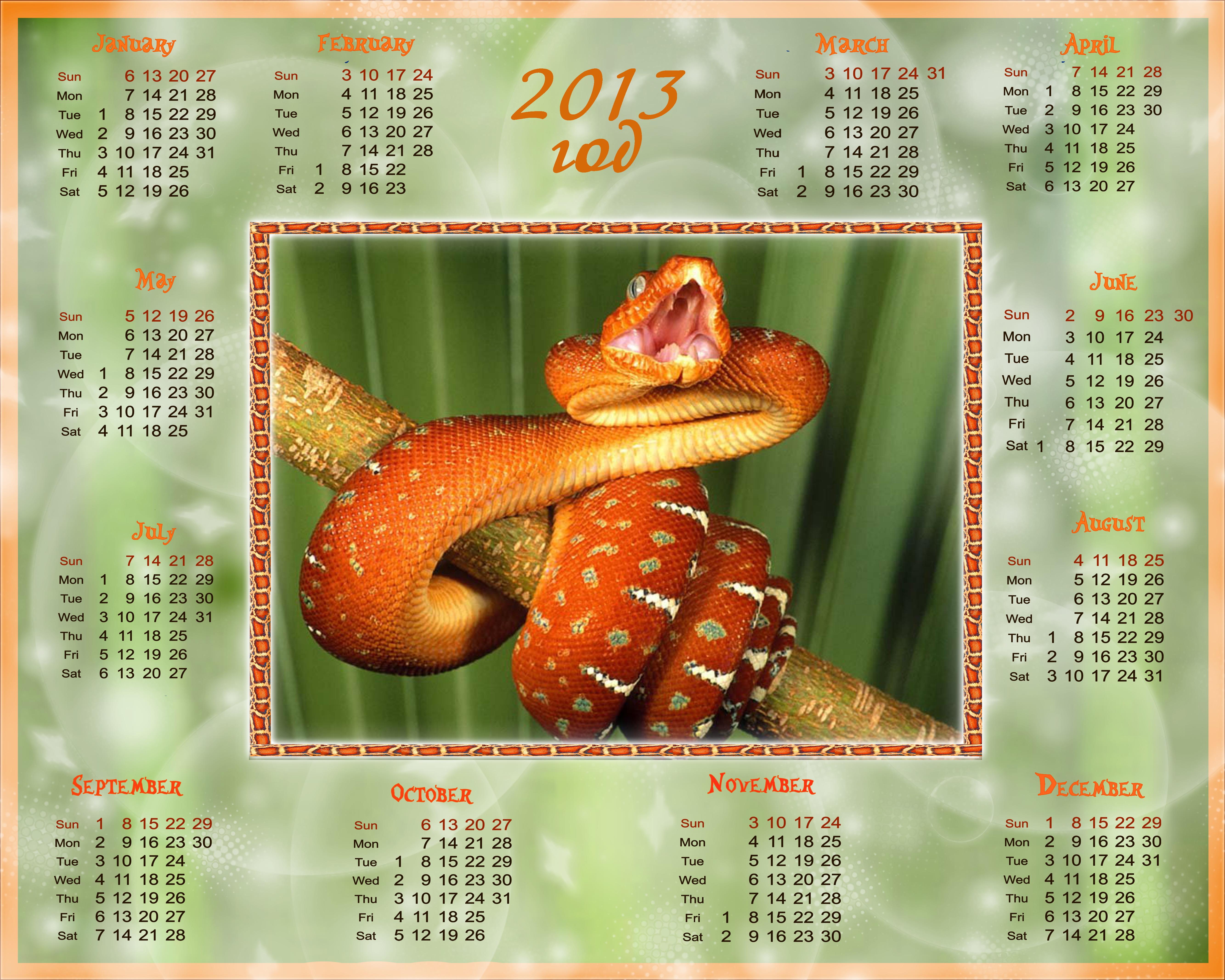 Год змеи лучшее. Календарь 2013 года. Календарь 2013 год змеи. Календарь 2013г. Картинки календарь 2013 год.