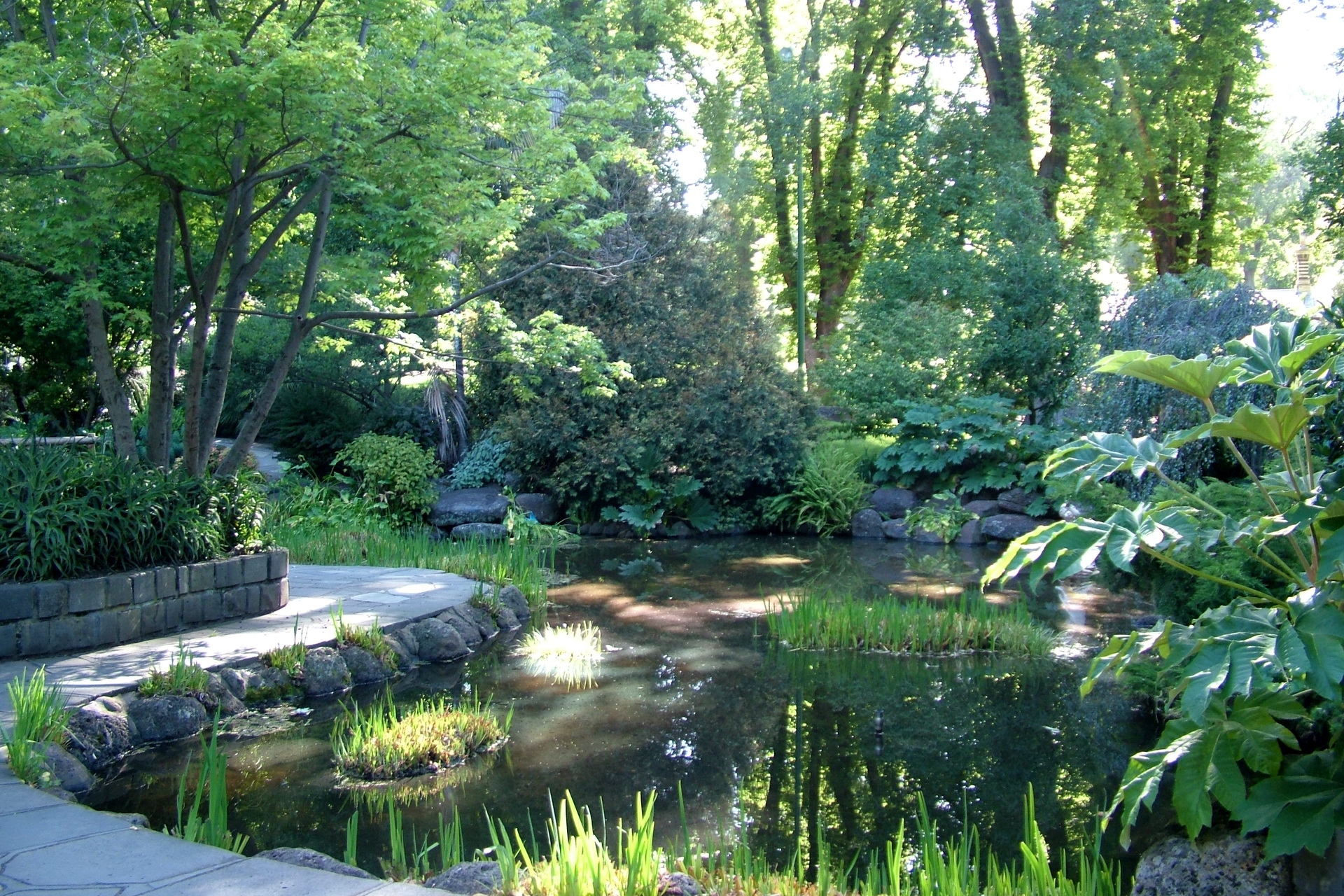 Сад Трокадеро пруд