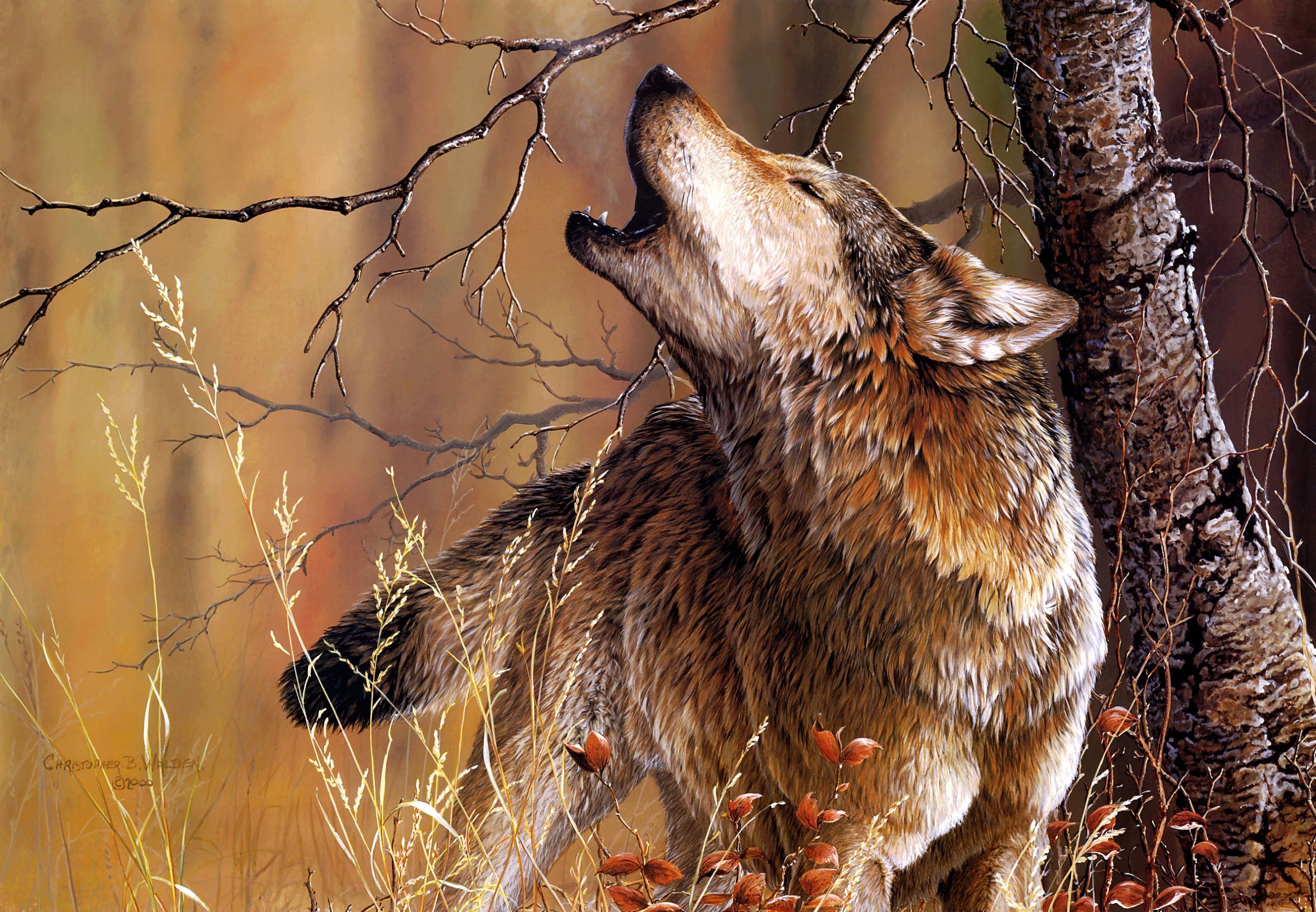 267527 Hintergrundbild herunterladen tiere, wolf, wald, heulen, malerei, holz, wolves - Bildschirmschoner und Bilder kostenlos
