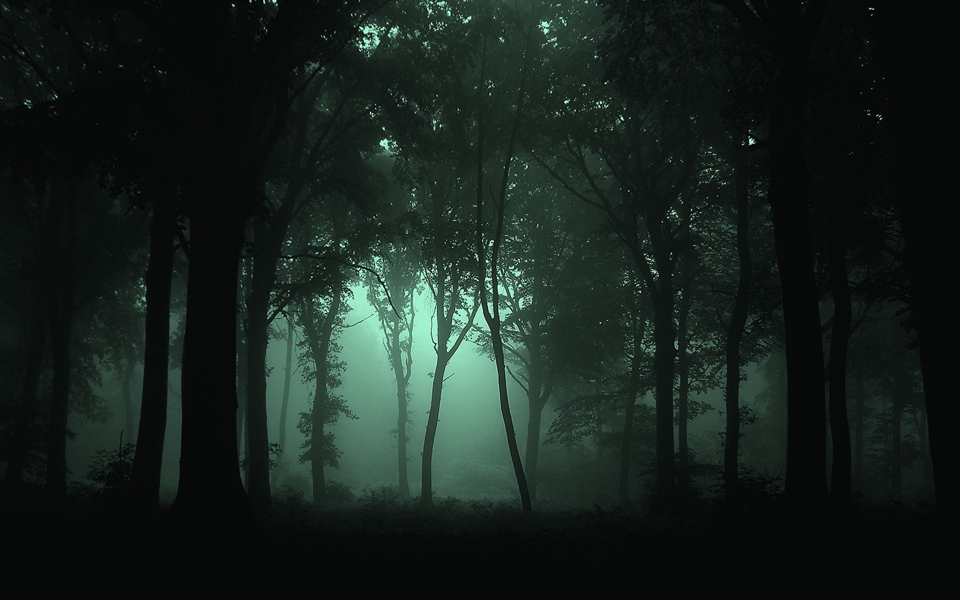 Сумеречный лес темный лес