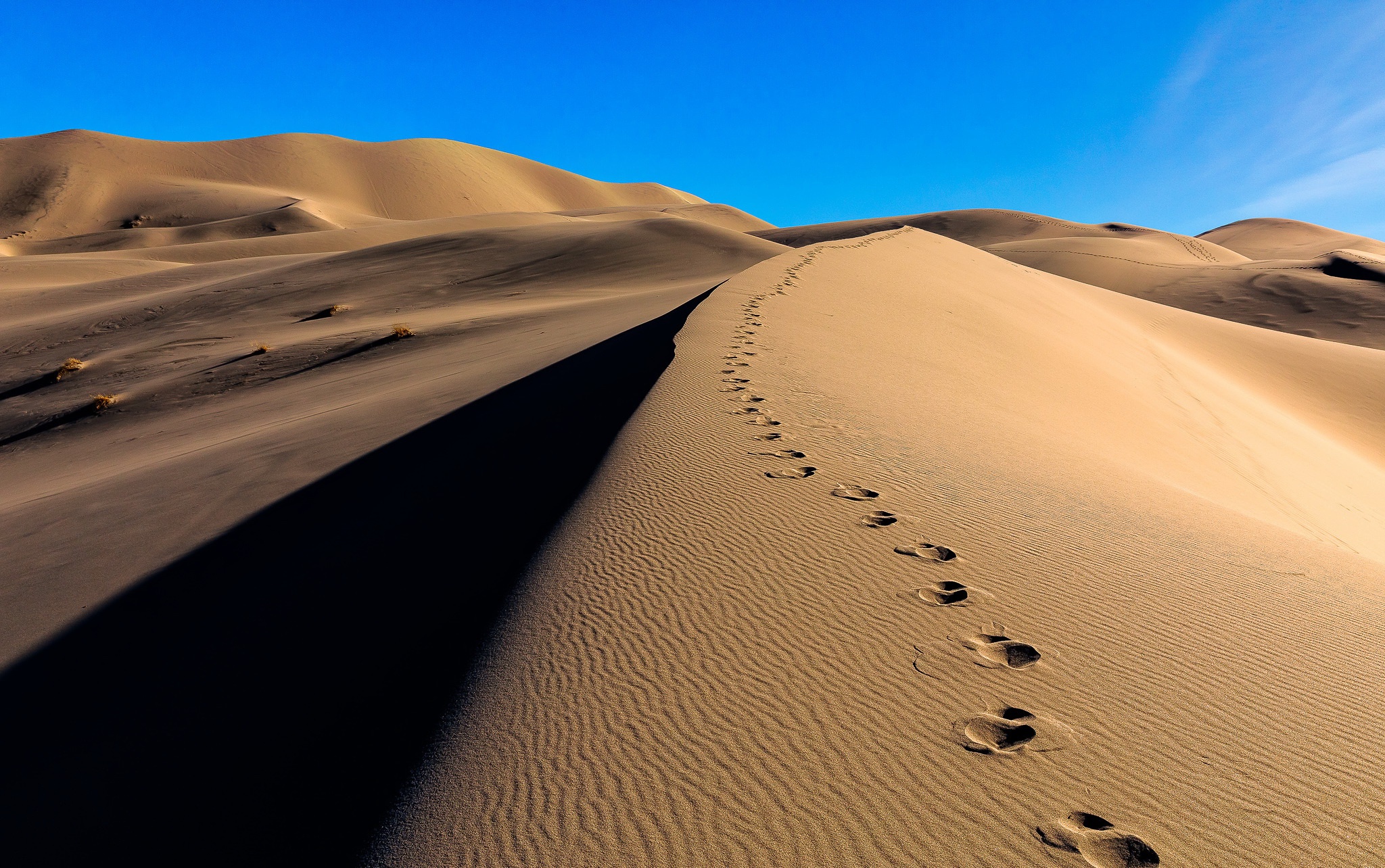 earth, desert, dune, footprint, nature, sand