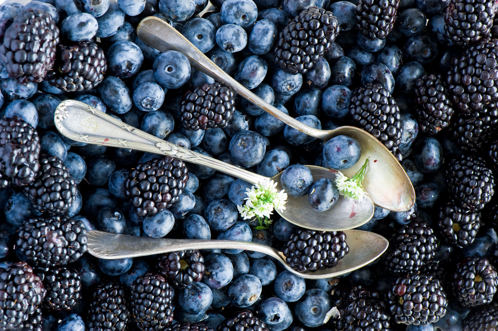 Laden Sie das Lebensmittel, Blaubeeren, Berries, Blackberry, Löffel-Bild kostenlos auf Ihren PC-Desktop herunter