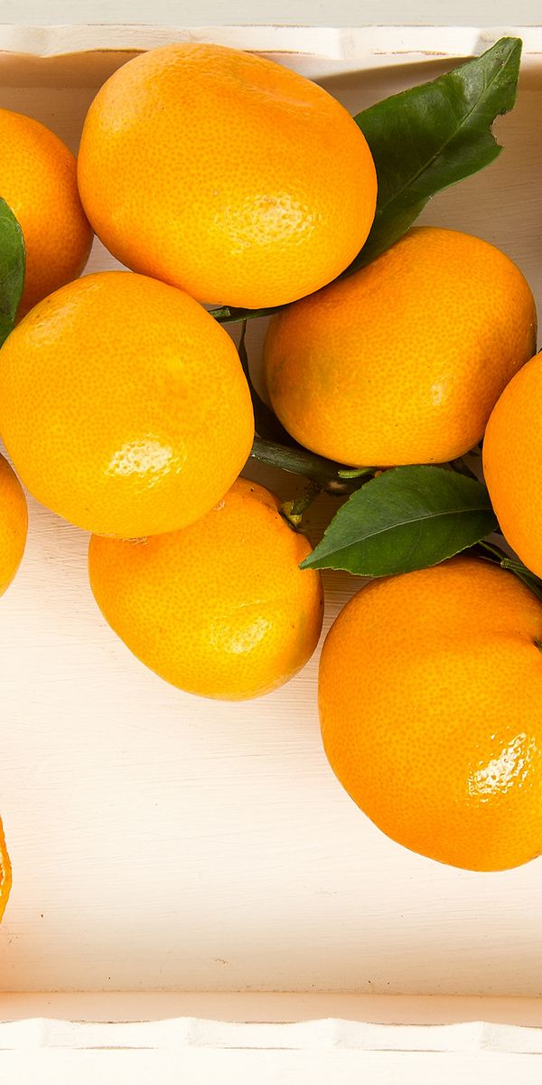 Мандарин citrus. Мандарин Танжерин медовый. Мандарин Ван ГУ. Мандарин цитрусовые. Желтый цитрусовый фрукт.