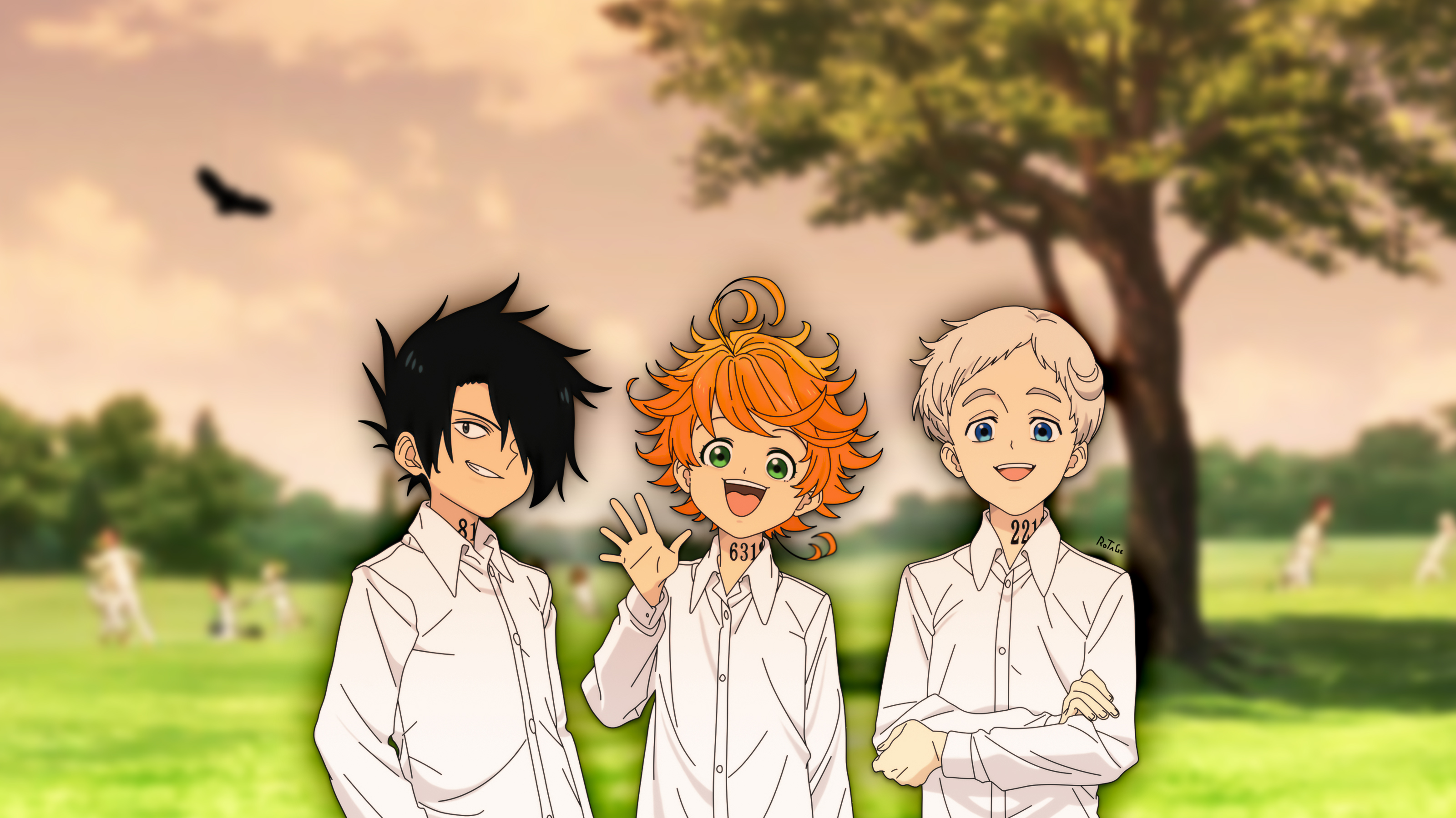 30+ Norman (The Promised Neverland) HD Wallpapers and Backgrounds