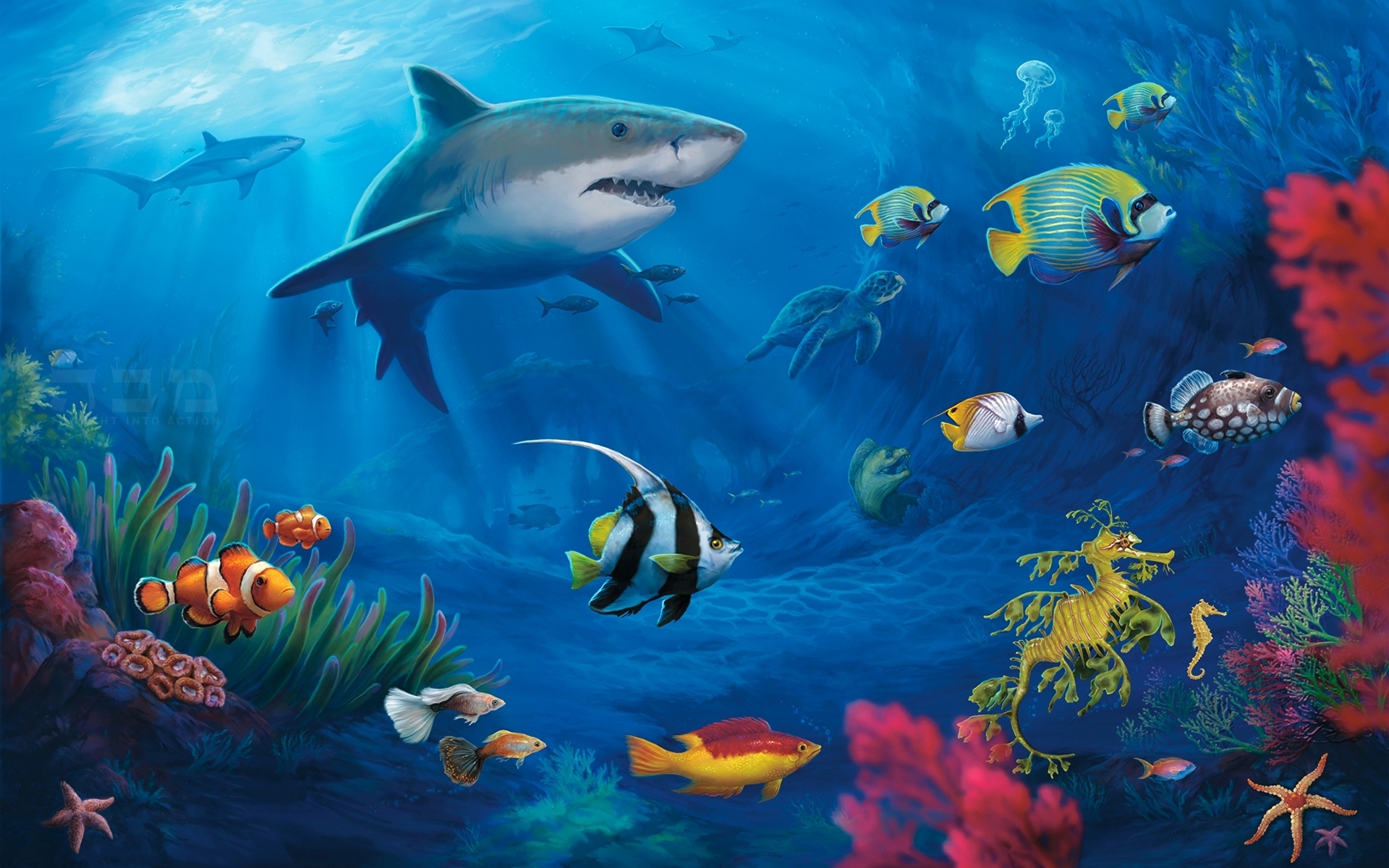 245564 скачать обои акулы, подводный, рыба, животные, черепаха, акула, цвета - заставки и картинки бесплатно