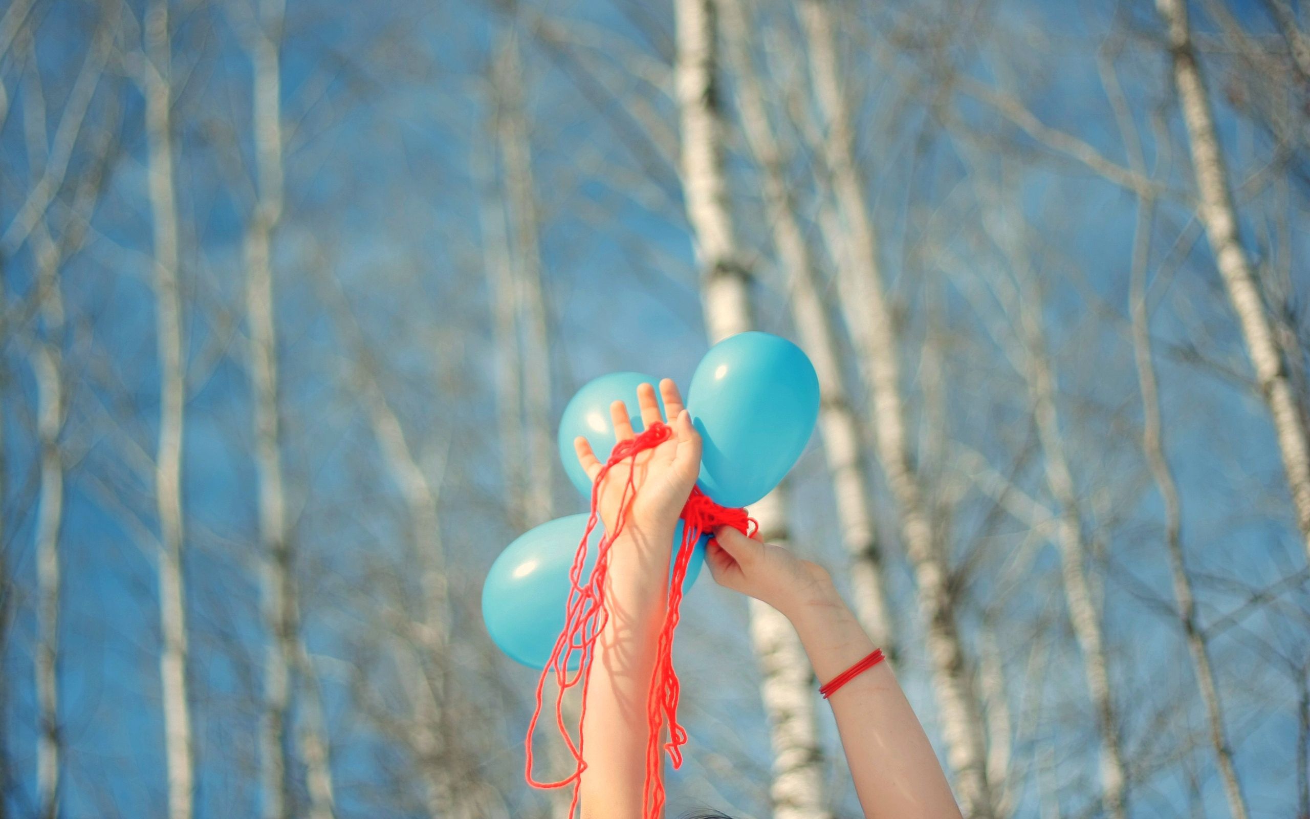 Handy-Wallpaper Natur, Bäume, Hände, Ballons, Luftballons kostenlos herunterladen.