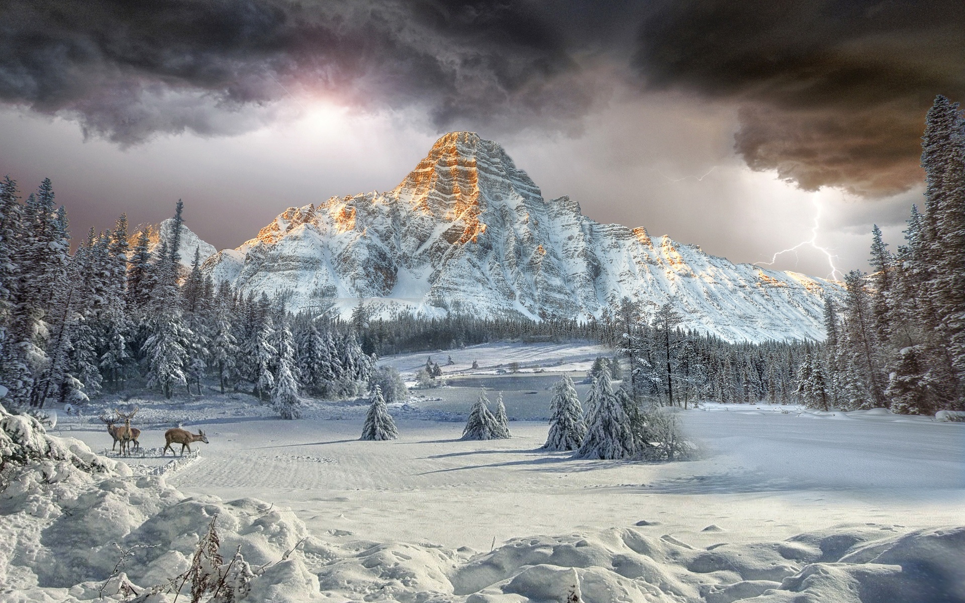 горы зимой красивые