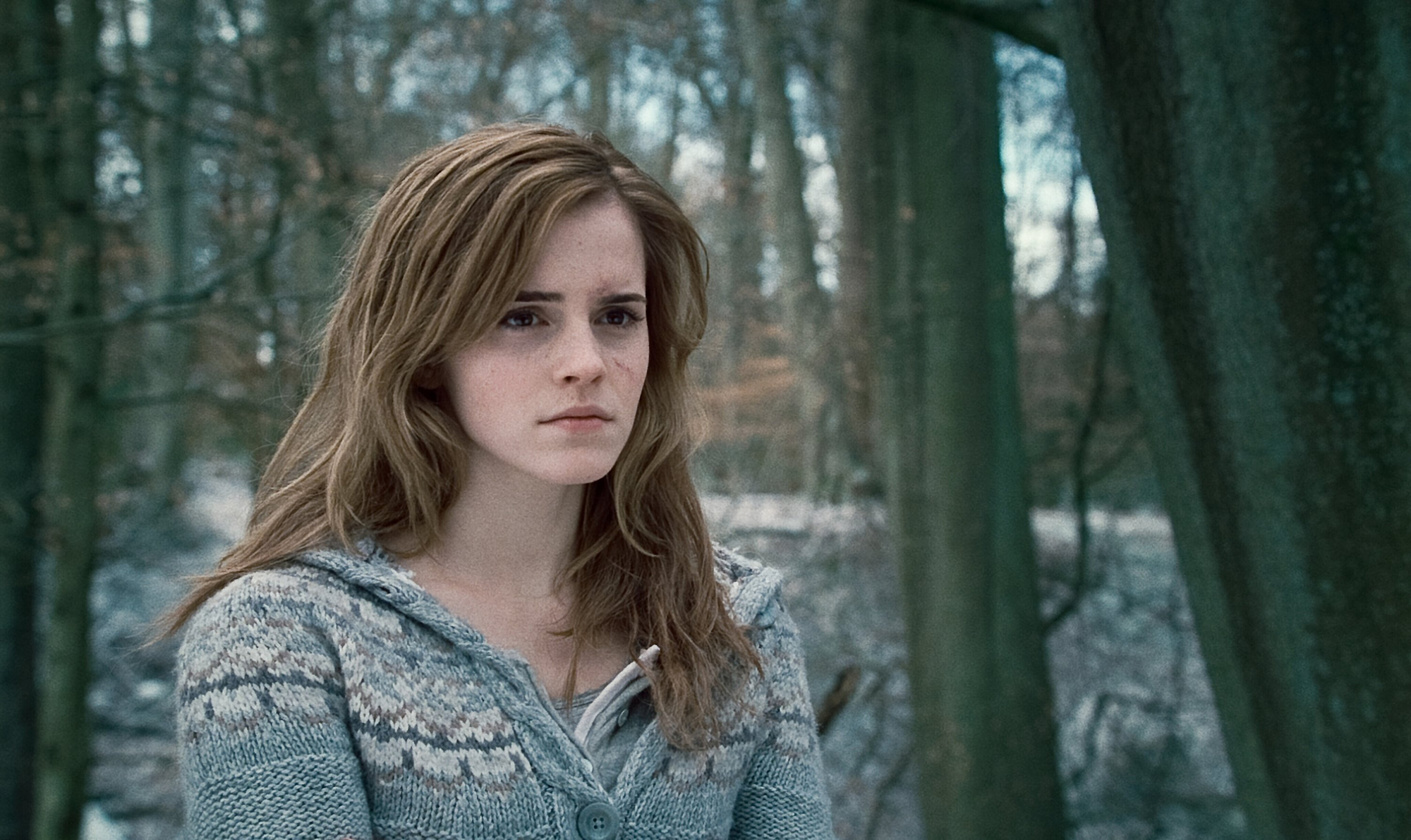 emma watson, harry potter, movie, harry potter and the deathly hallows: part 1, hermione granger