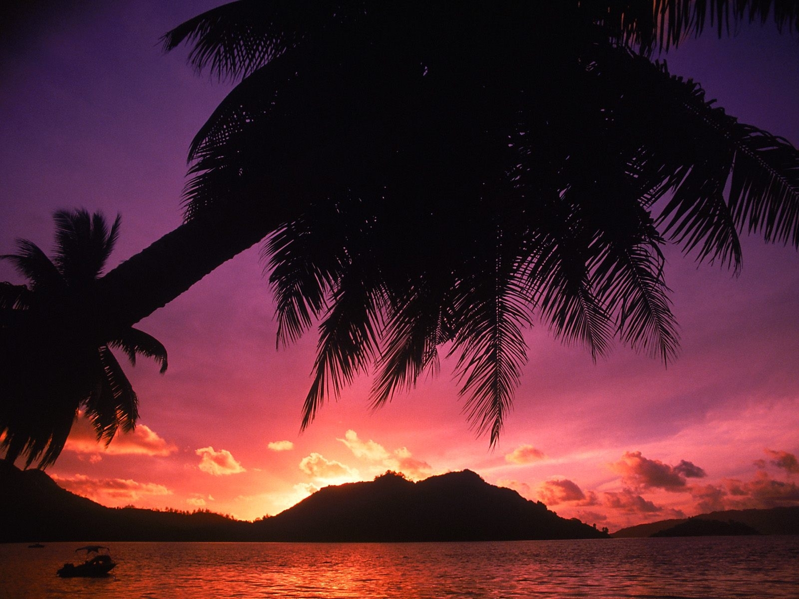 Download mobile wallpaper Landscape, Sunset, Sea, Palms for free.