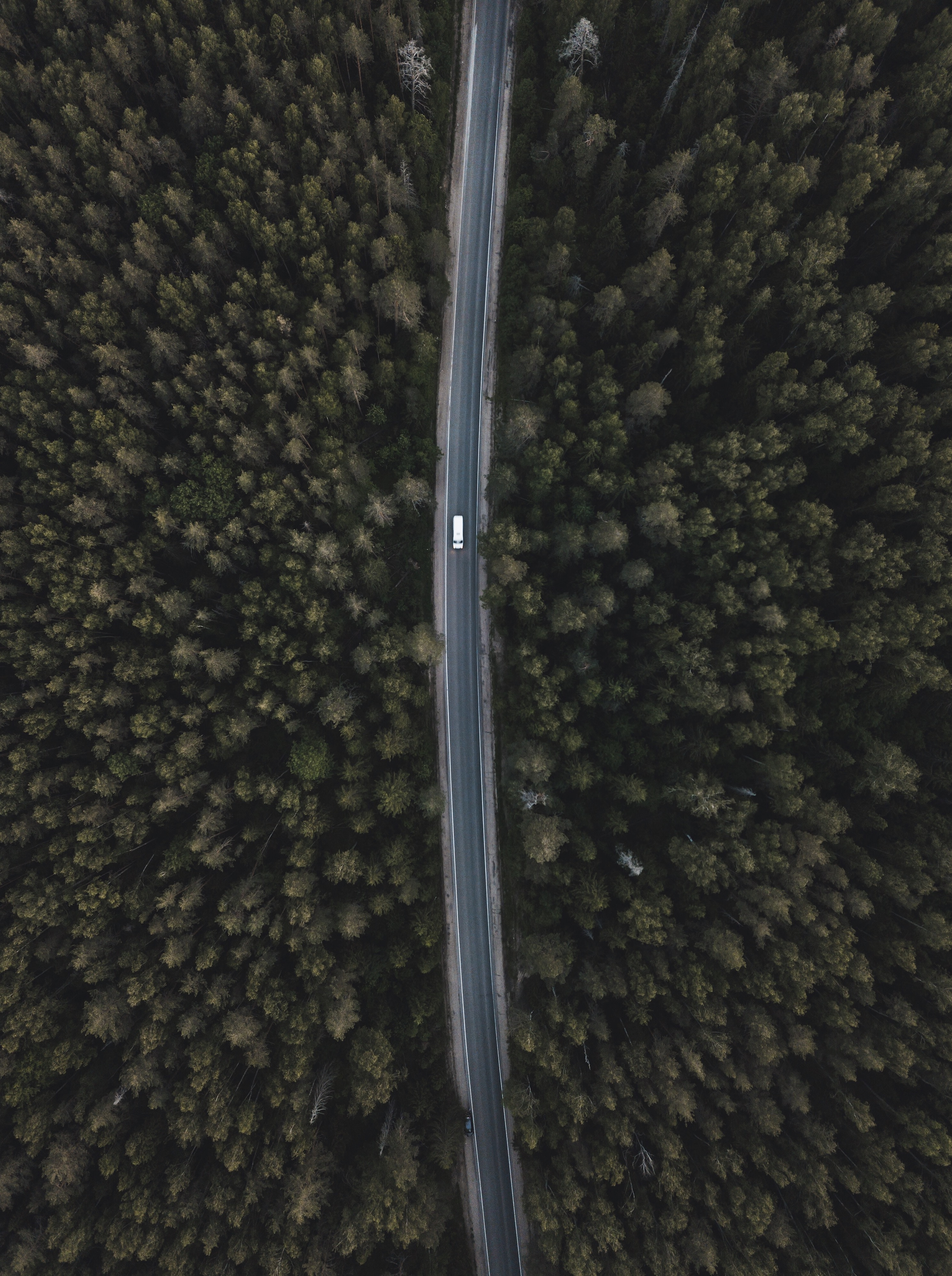 nature, trees, view from above, top, road, forest, tops for android