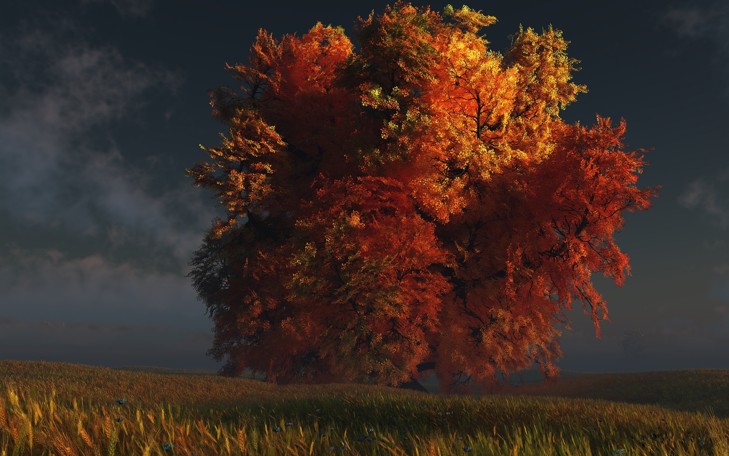 Trees  8k Backgrounds