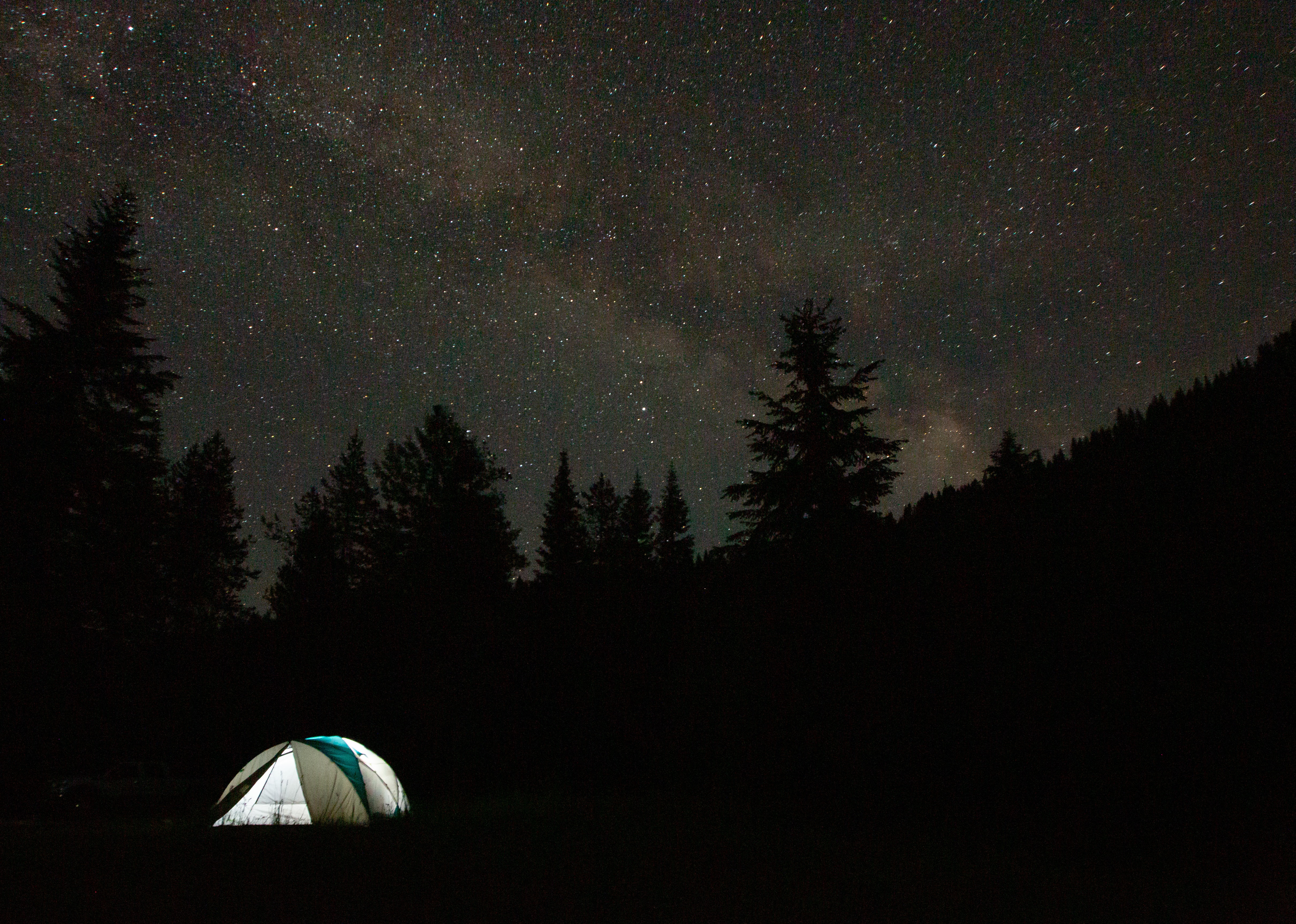 camping, trees, stars, dark, starry sky, spruce, fir, tent, campsite UHD