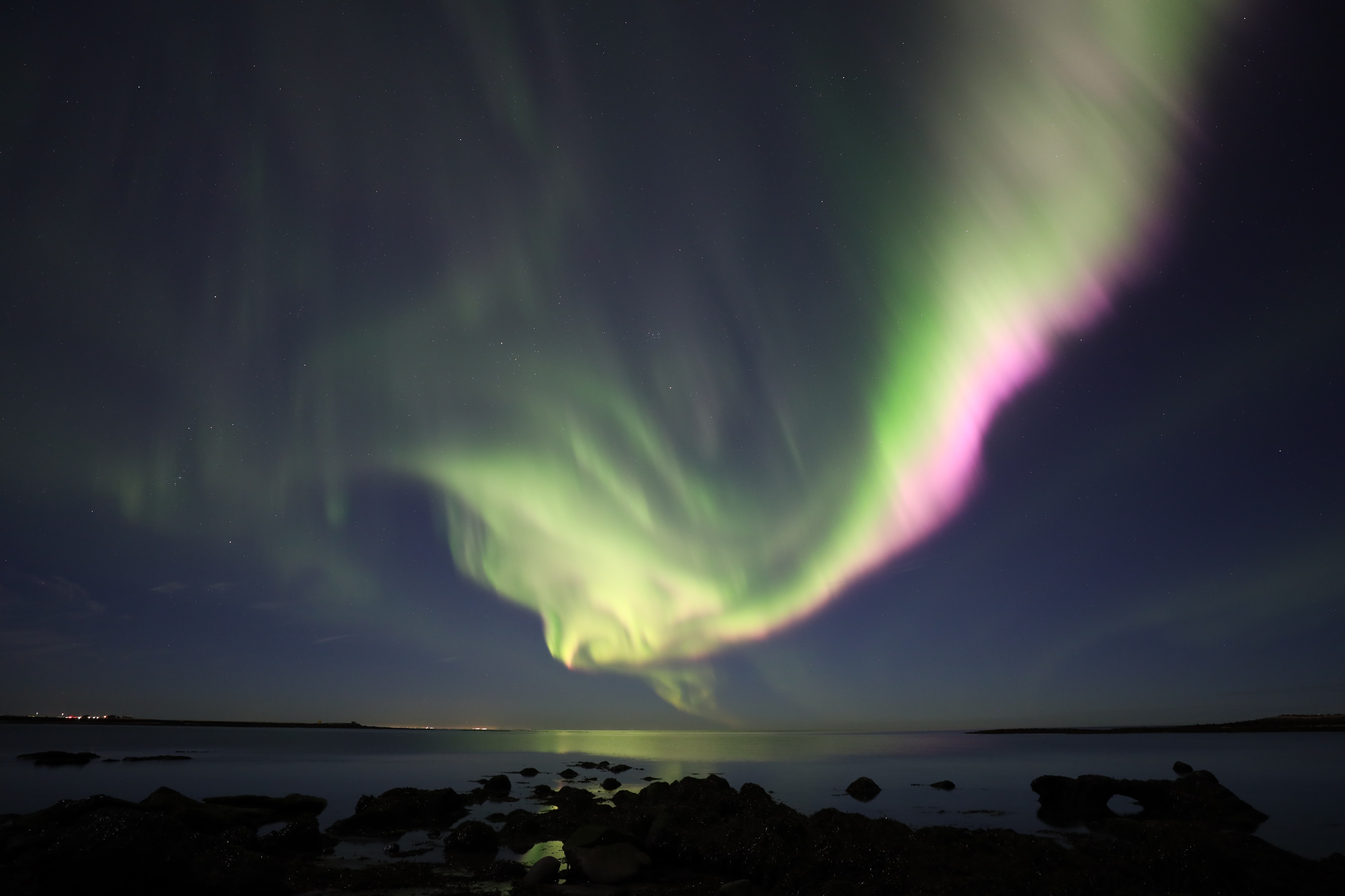 aurora borealis, night, nature, sky, ocean, northern lights HD wallpaper