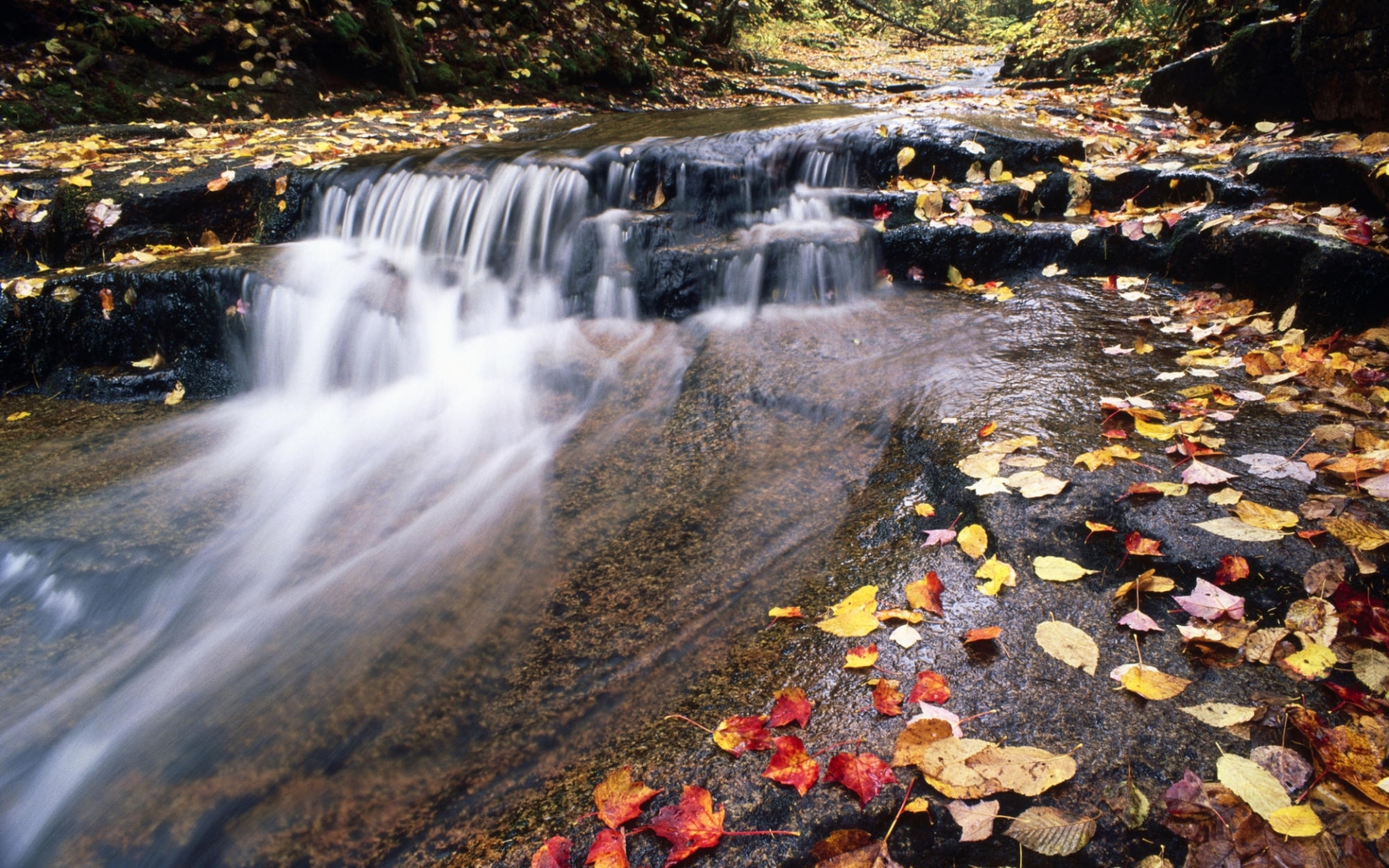 免费下载景观, 河, 秋, 叶手机壁纸。