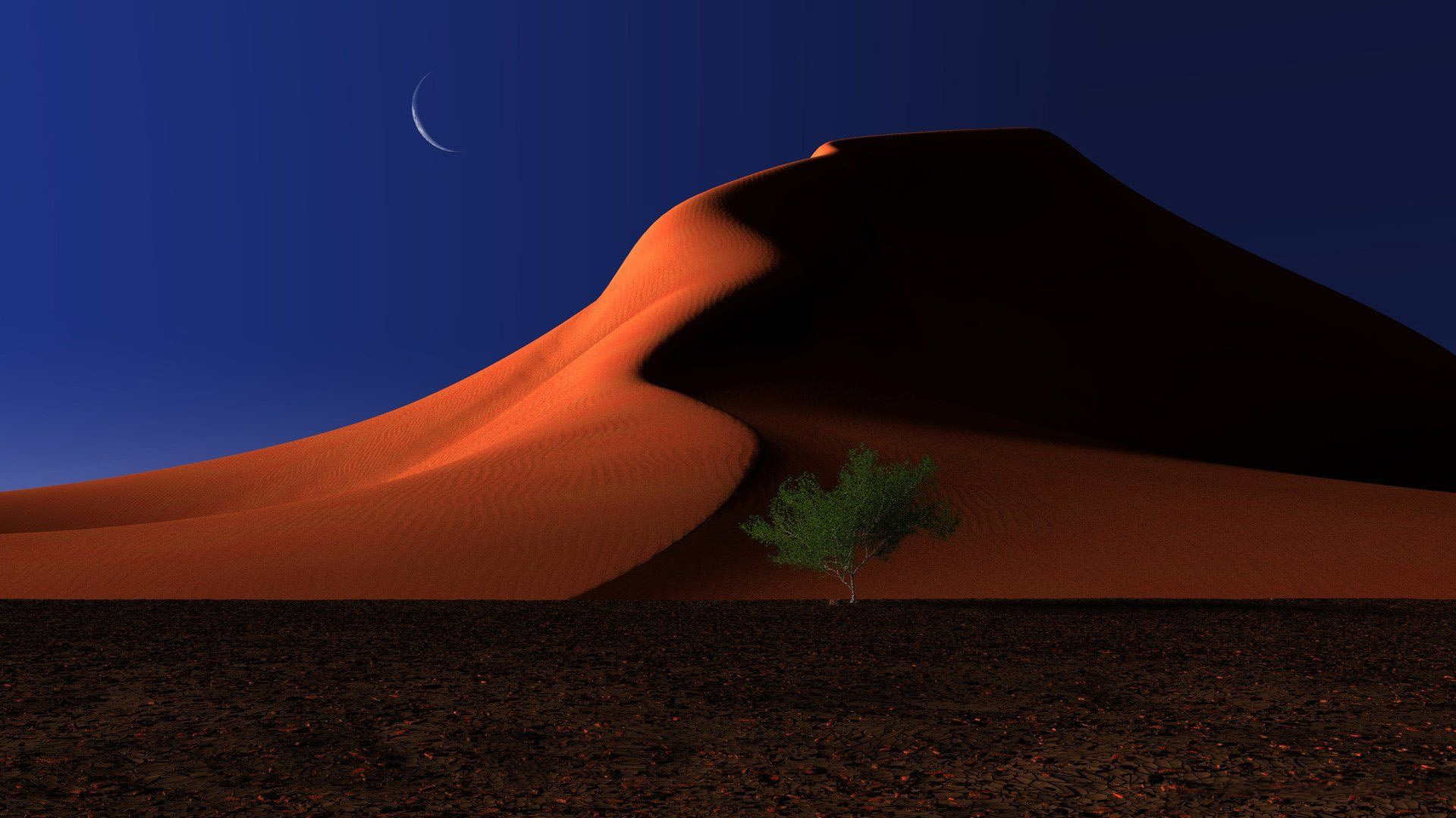 Пустыня сахара ночью