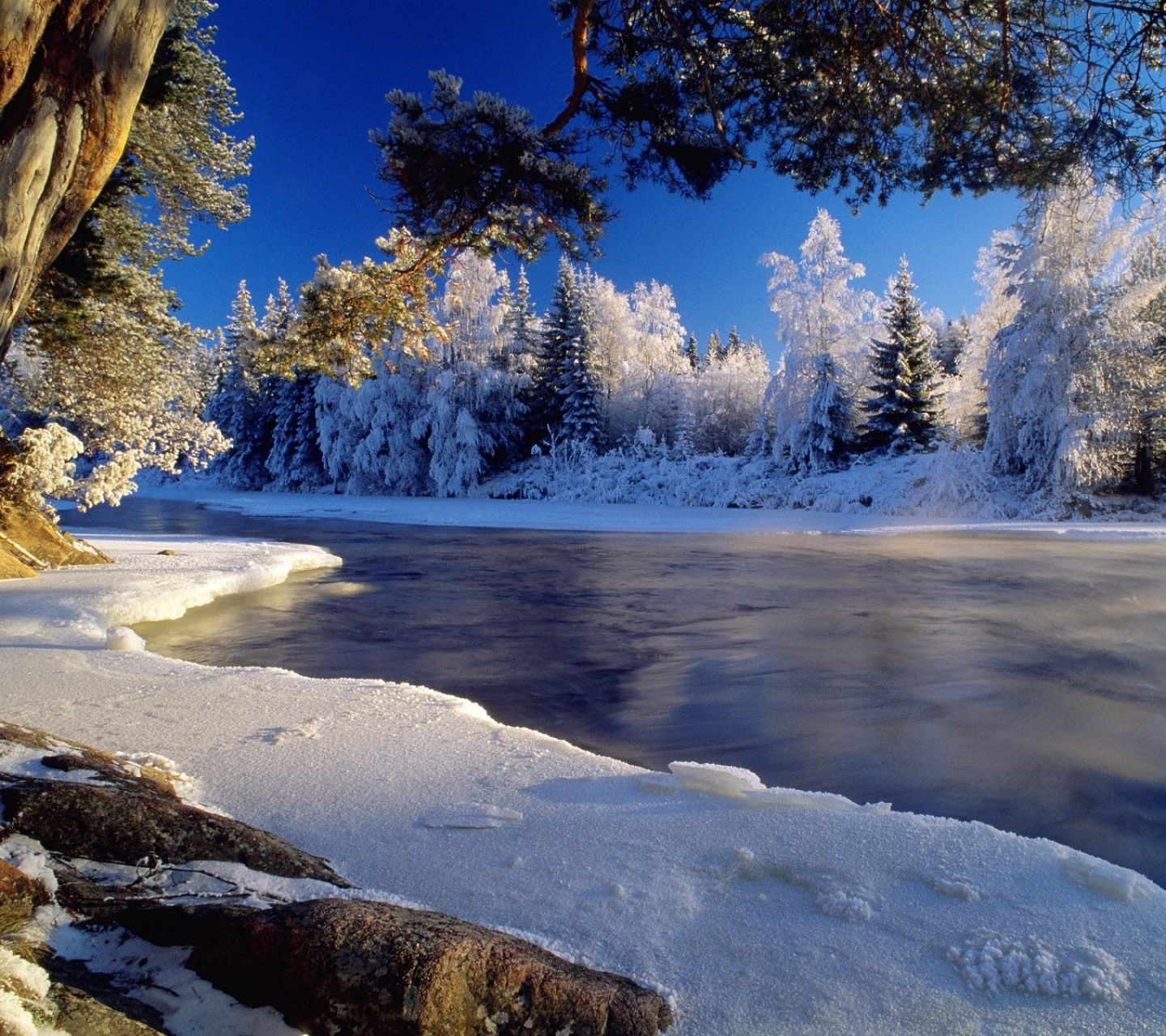 красивый пейзаж природы фото зима