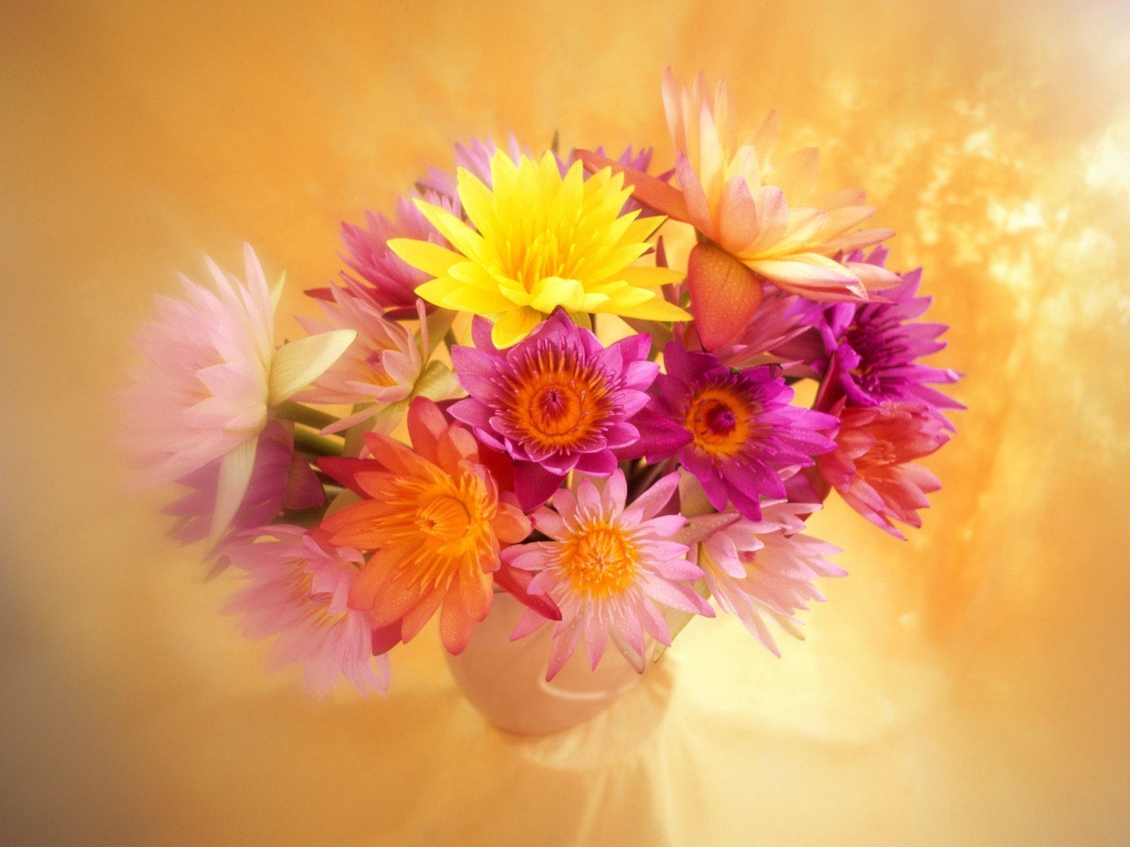 Téléchargez gratuitement l'image Plantes, Fleurs, Bouquets sur le bureau de votre PC