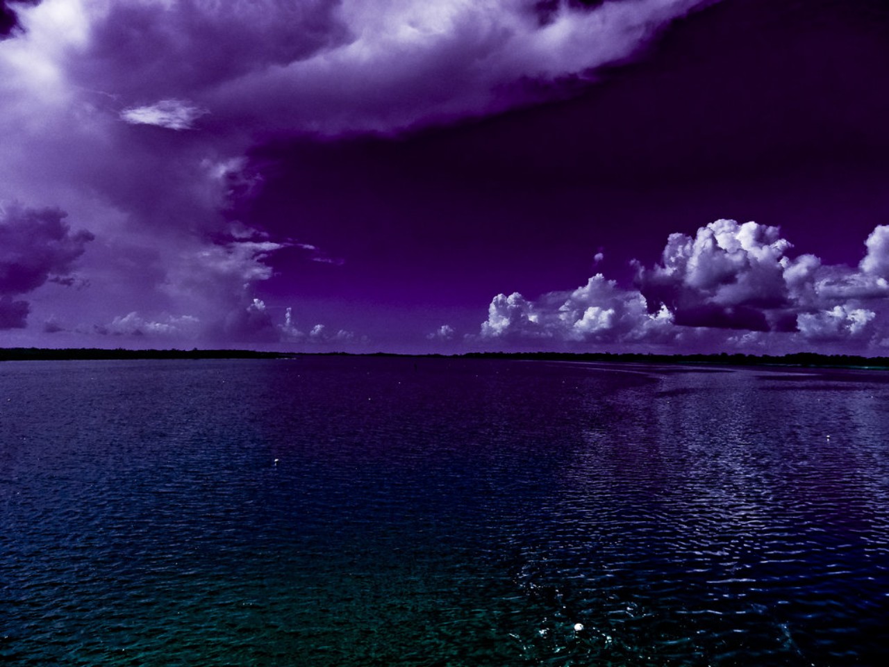 1440953 免費下載壁紙 自然, 海洋, 紫色的 屏保和圖片