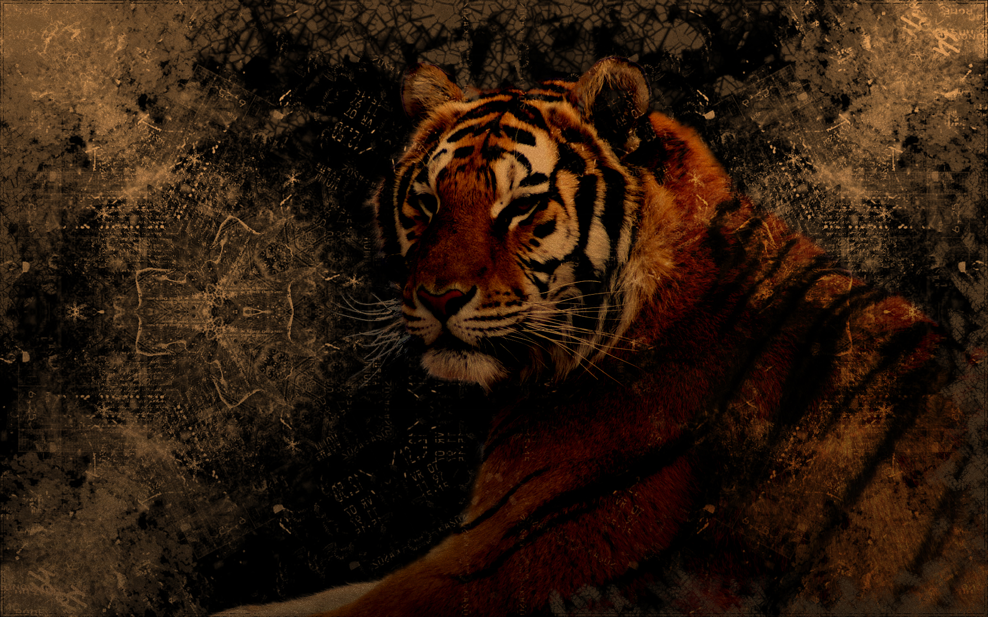 290813 télécharger le fond d'écran animaux, tigre, grunge, chats - économiseurs d'écran et images gratuitement