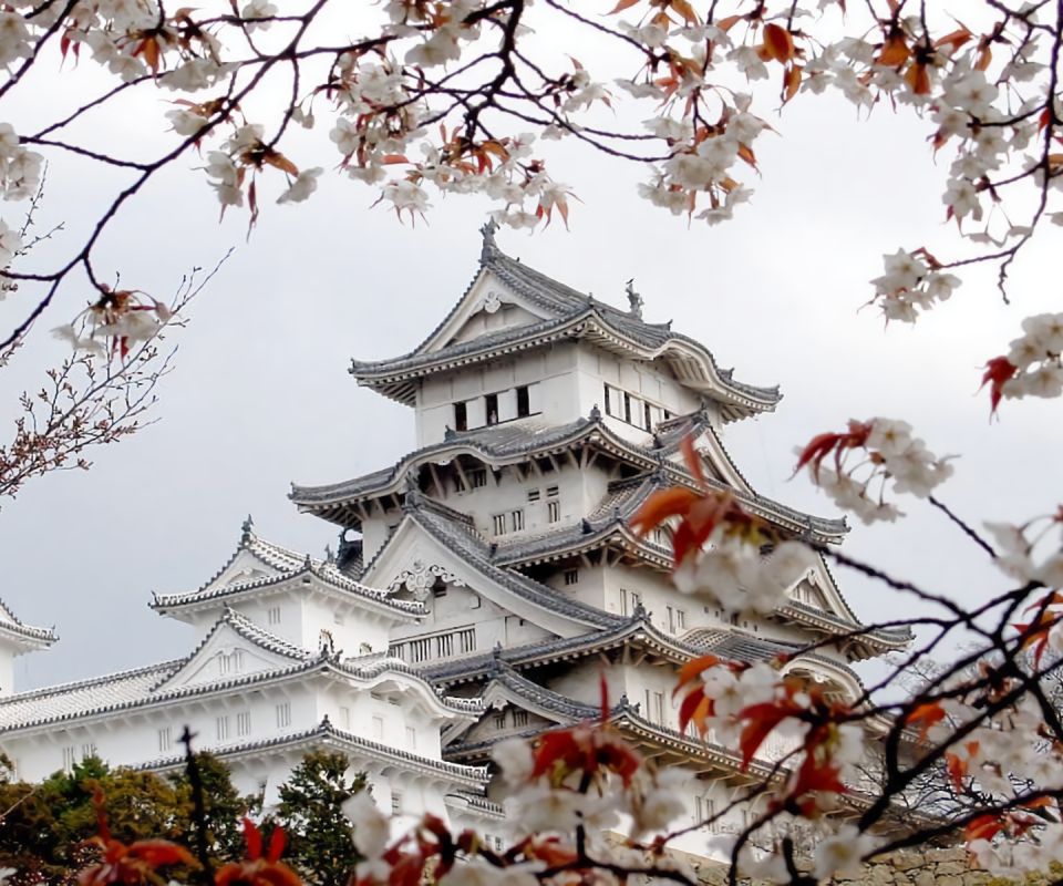 man made, himeji castle, sakura blossom, spring, hyogo, sakura, japan, castles