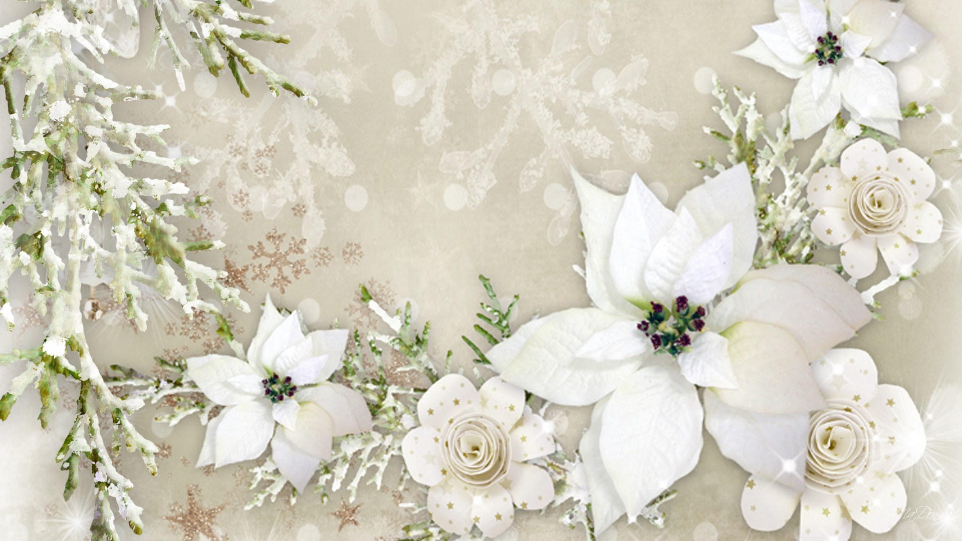 Windows Backgrounds artistic, flower, poinsettia, snowflake, white, flowers