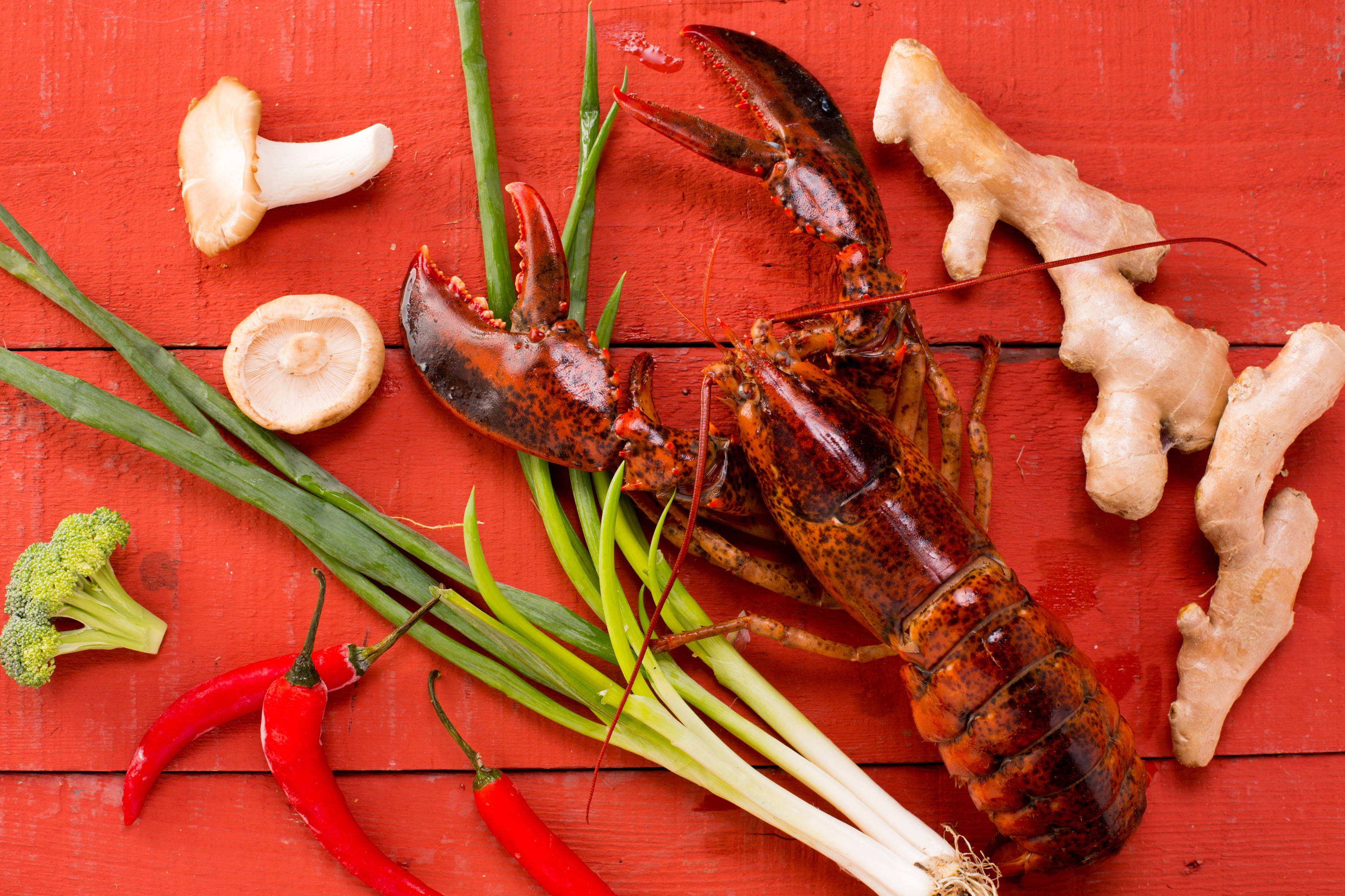 pepper, food, lobster, seafood, still life images