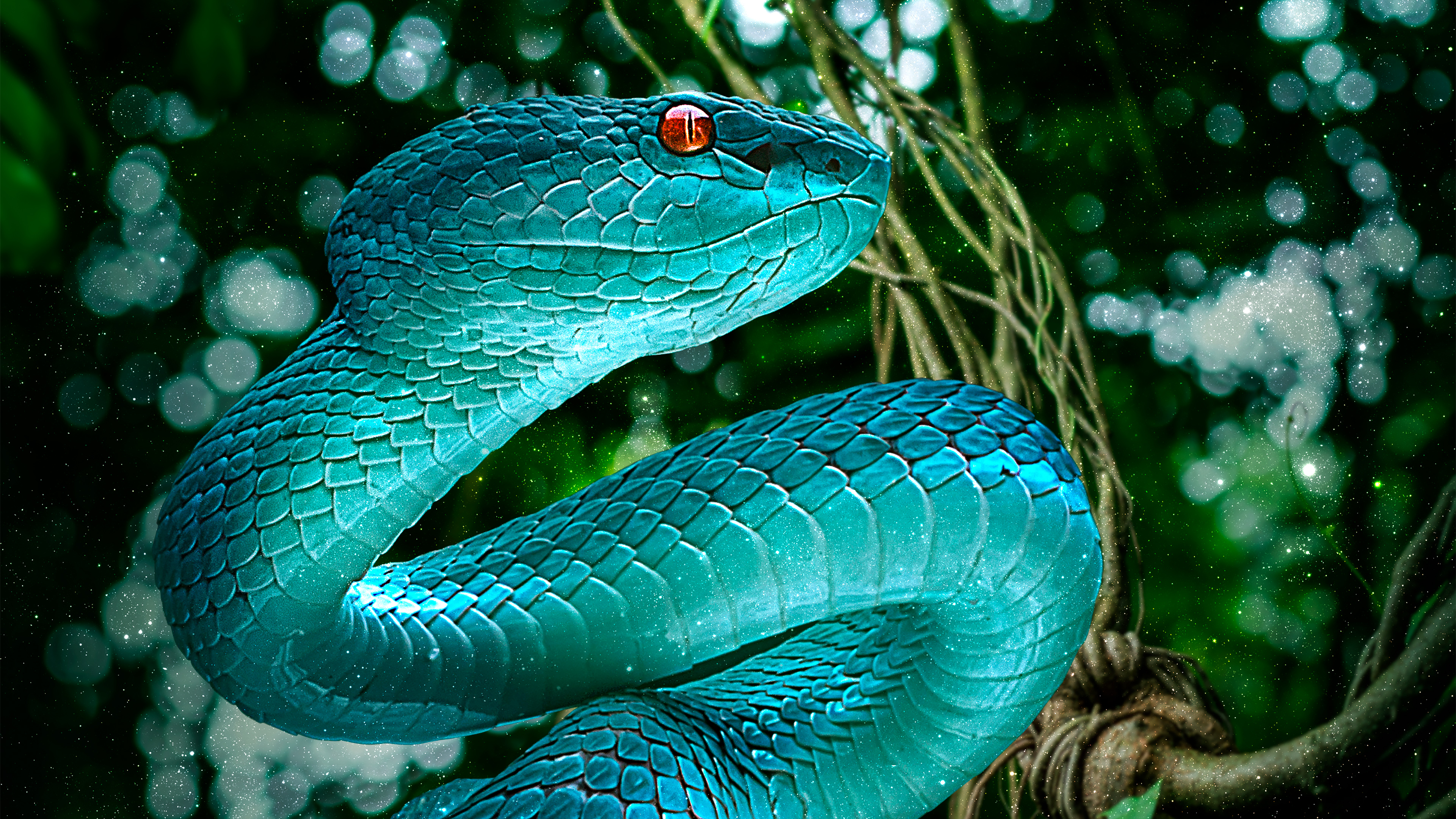 471129 descargar fondo de pantalla animales, víbora, serpiente, reptiles: protectores de pantalla e imágenes gratis